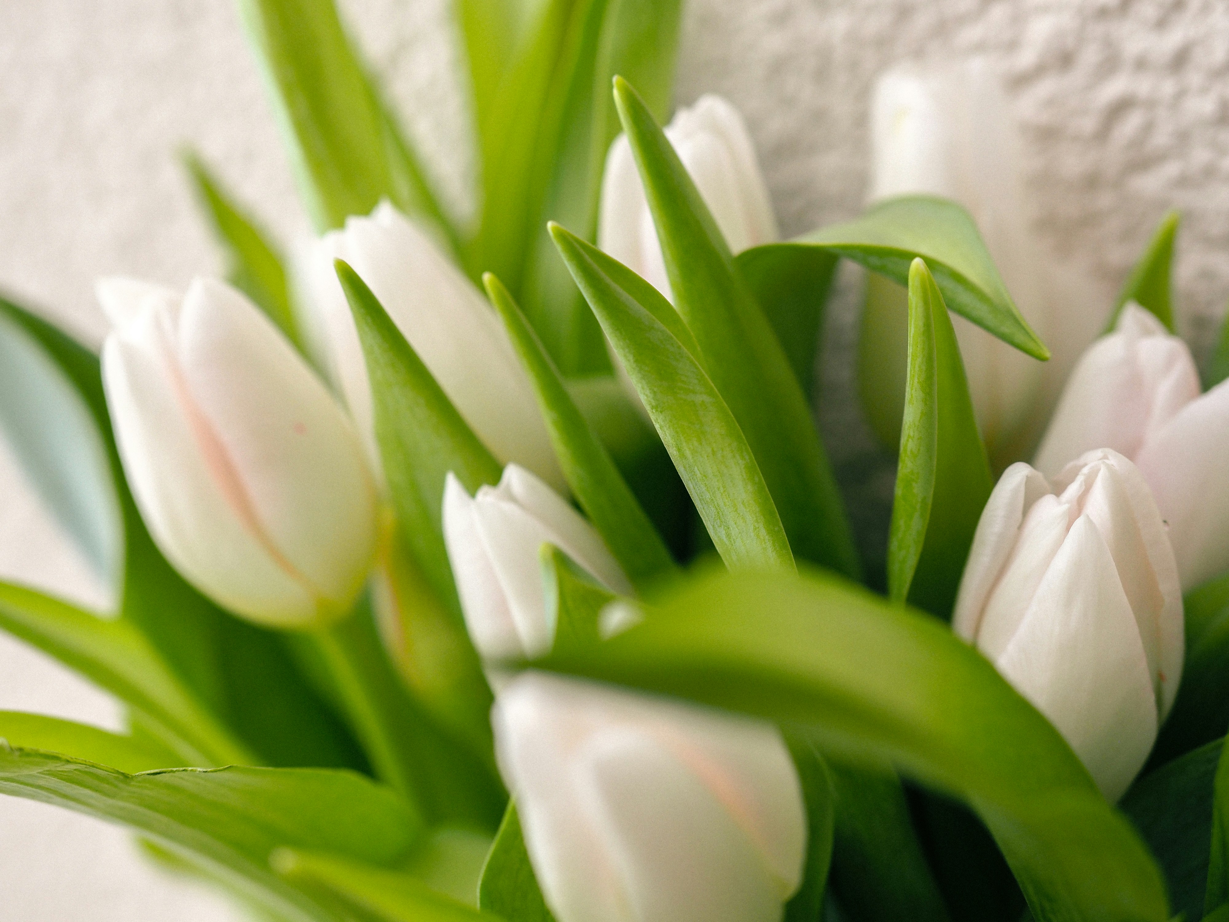 Photo by zahorulko__alina