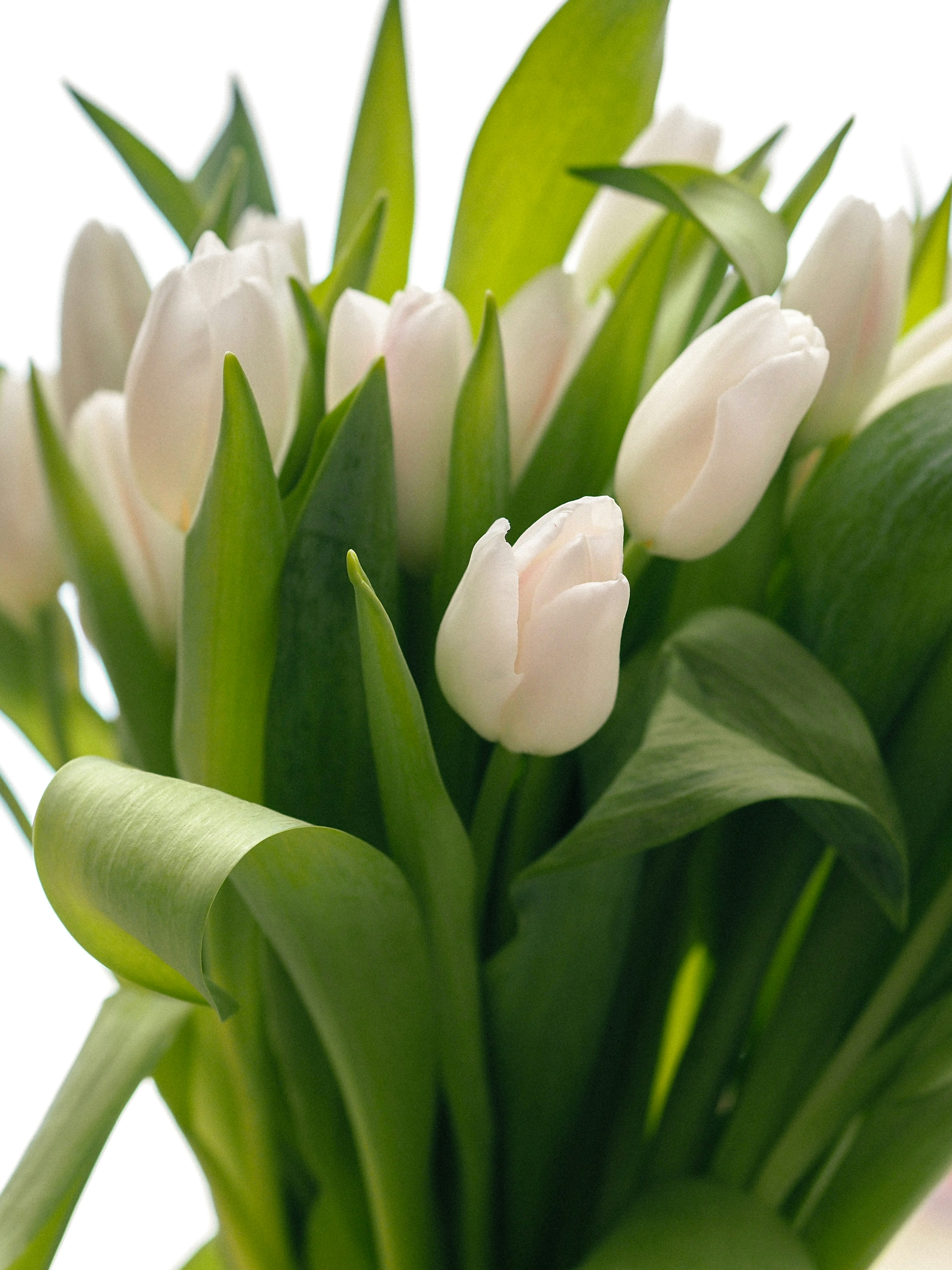 Photo by zahorulko__alina