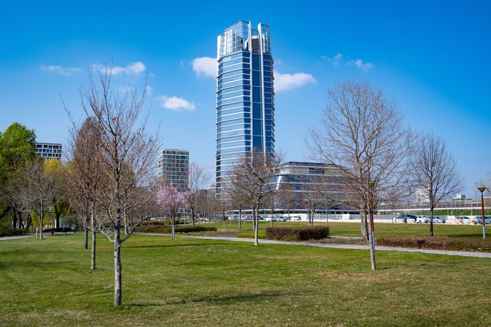 a grassy area with trees and buildings in the background