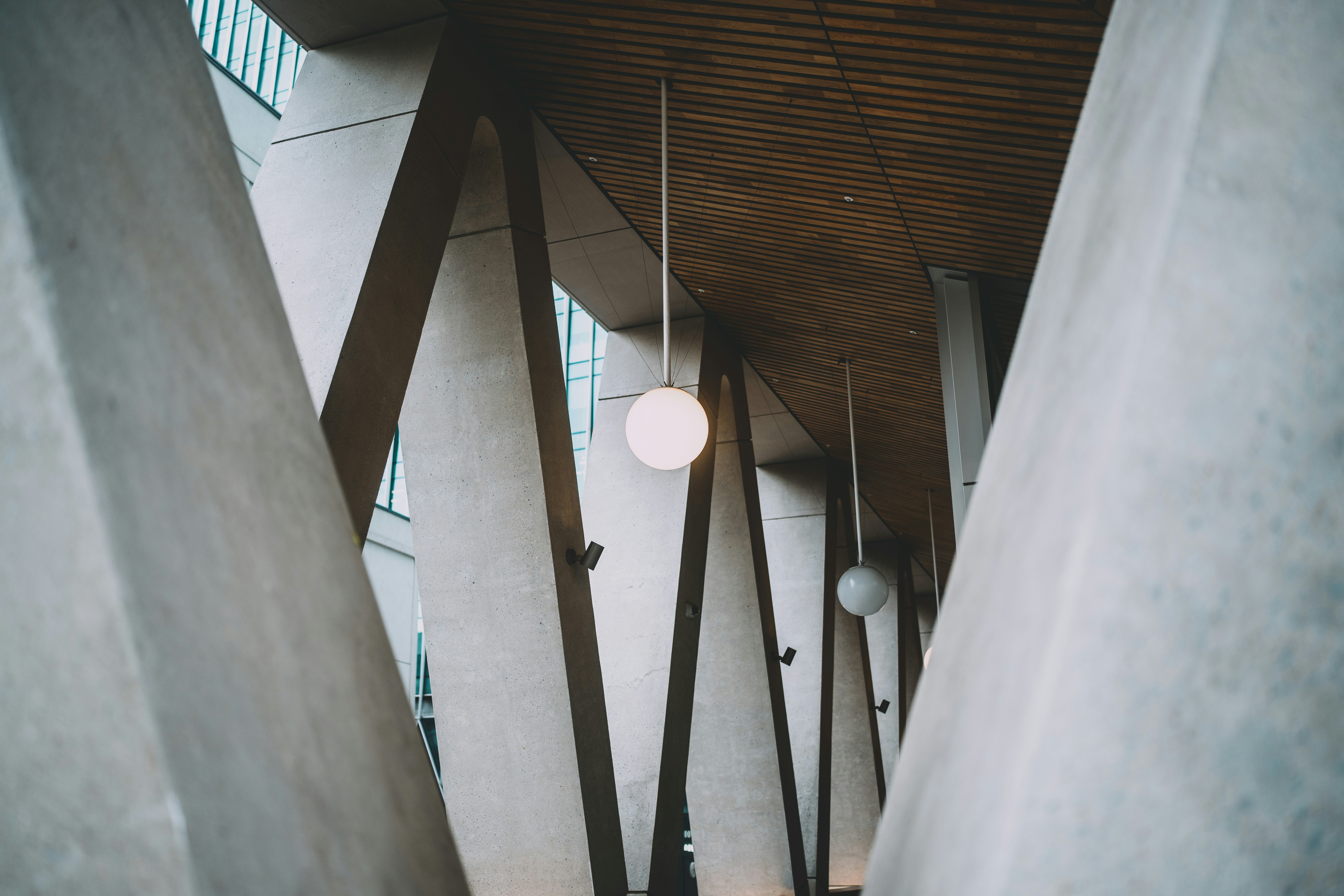 Photo by bfenton_photo