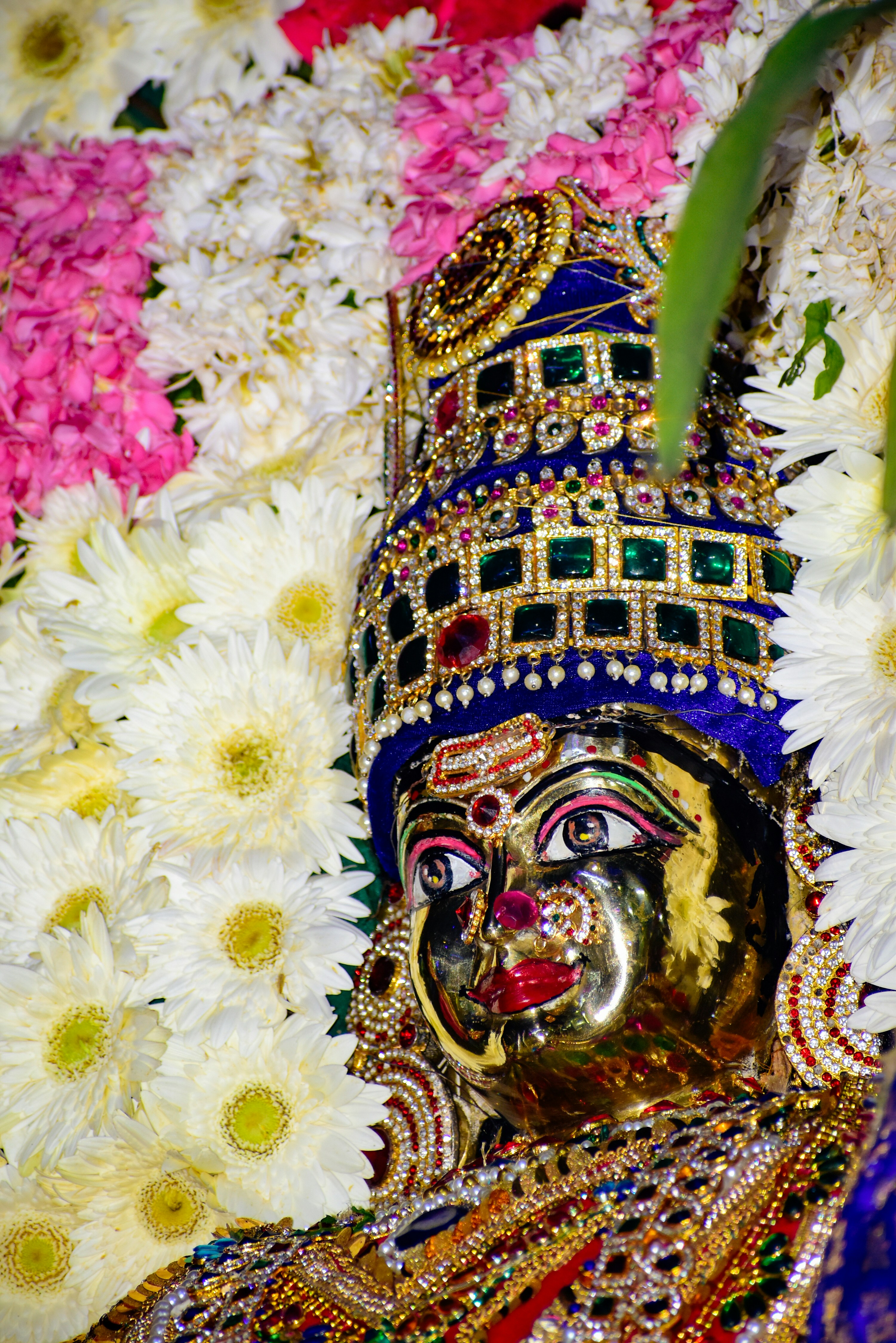 Photo by hacker_camerwork