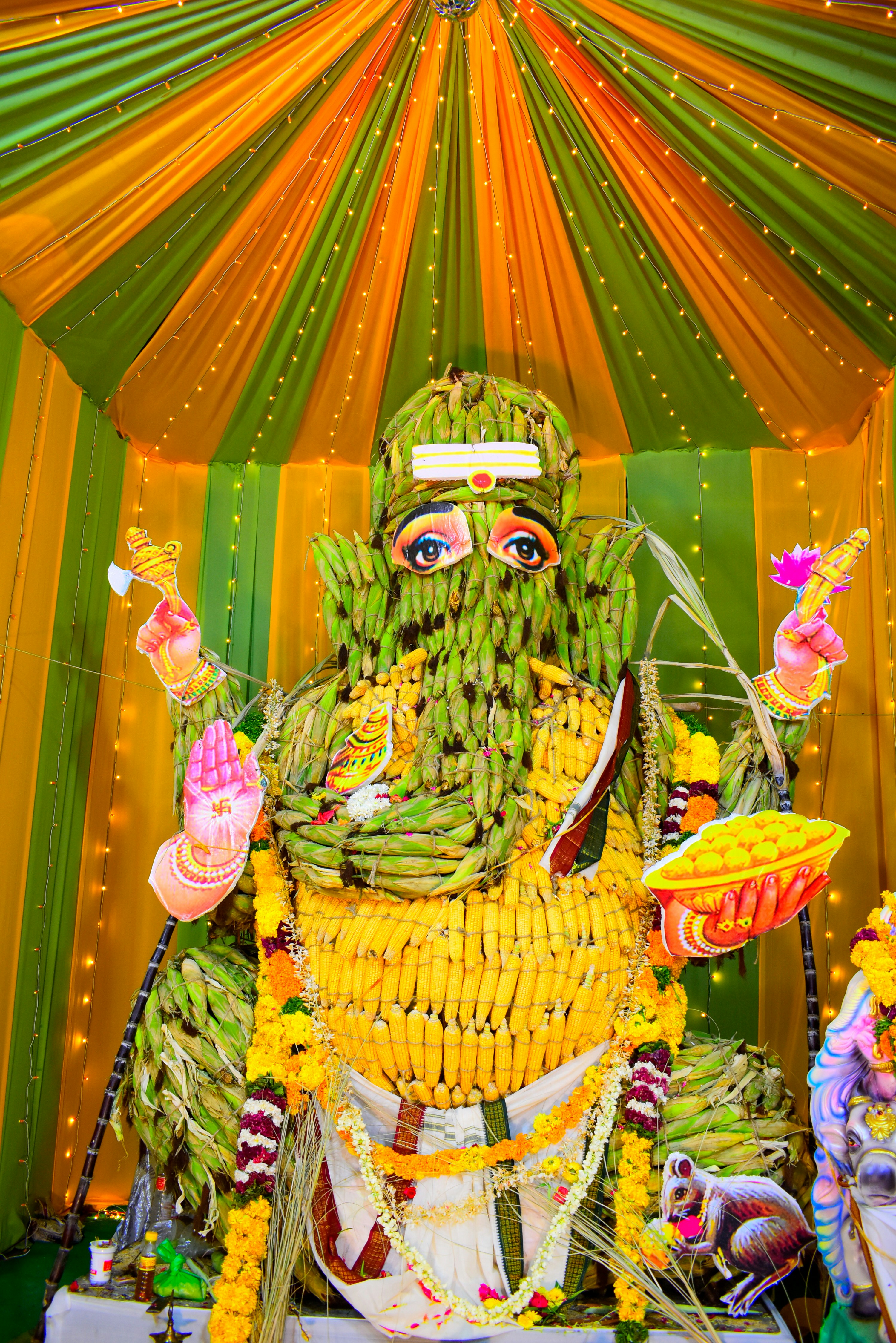 Photo by hacker_camerwork