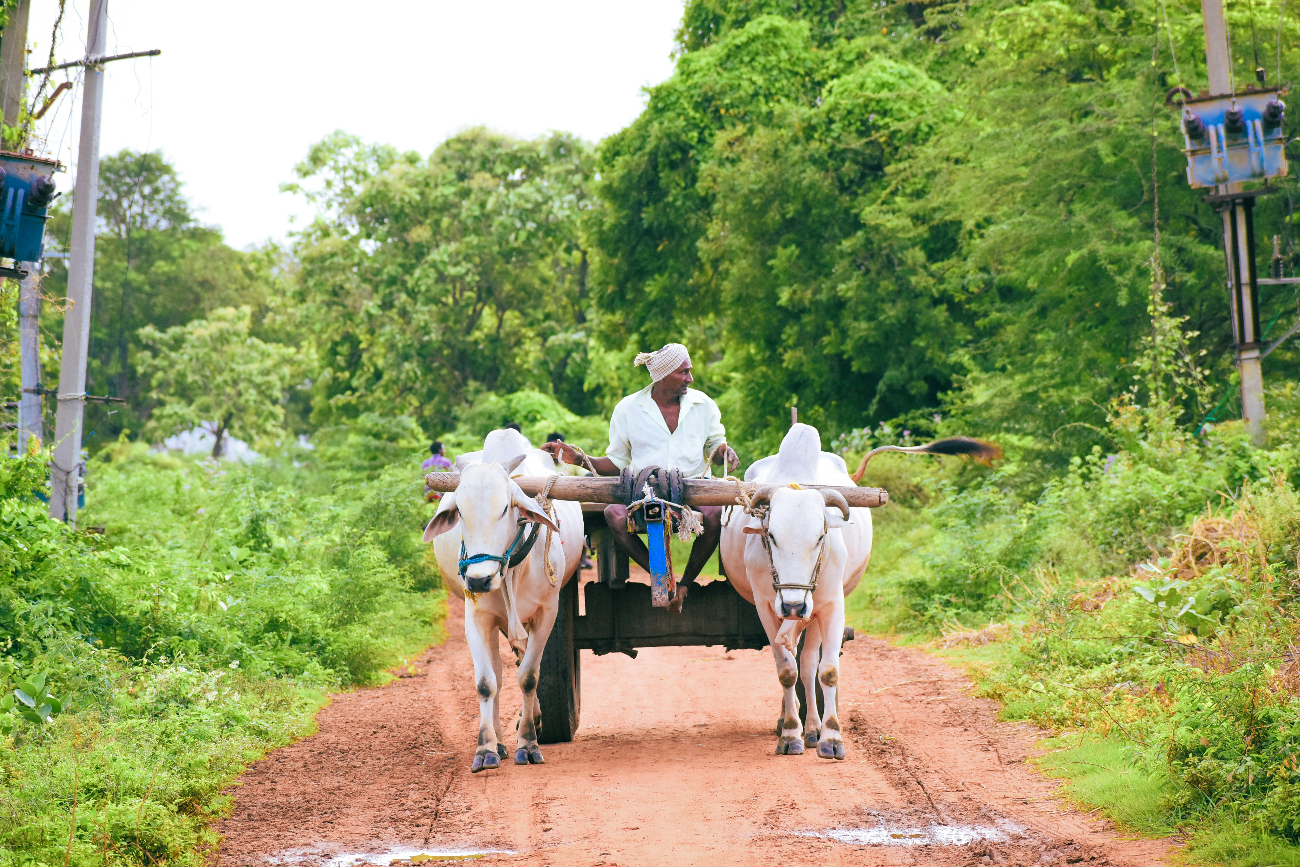 Photo by hacker_camerwork