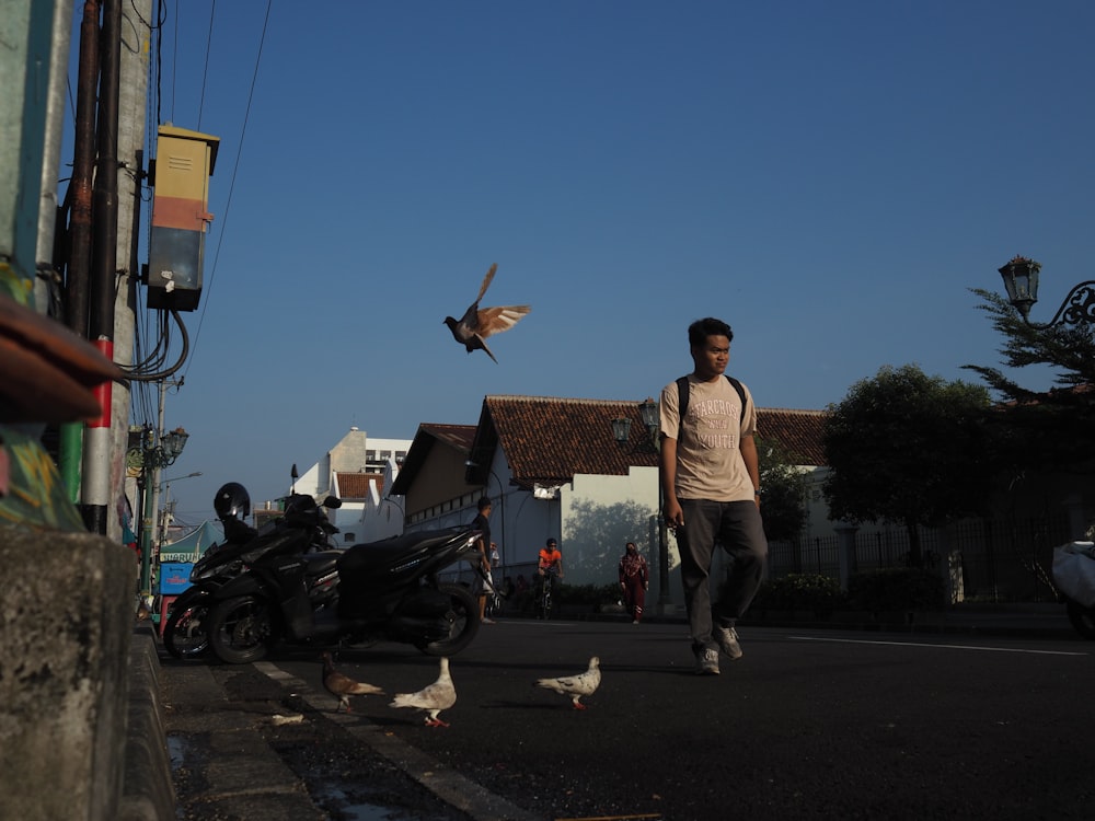 a man walking down a street with a bird flying over him