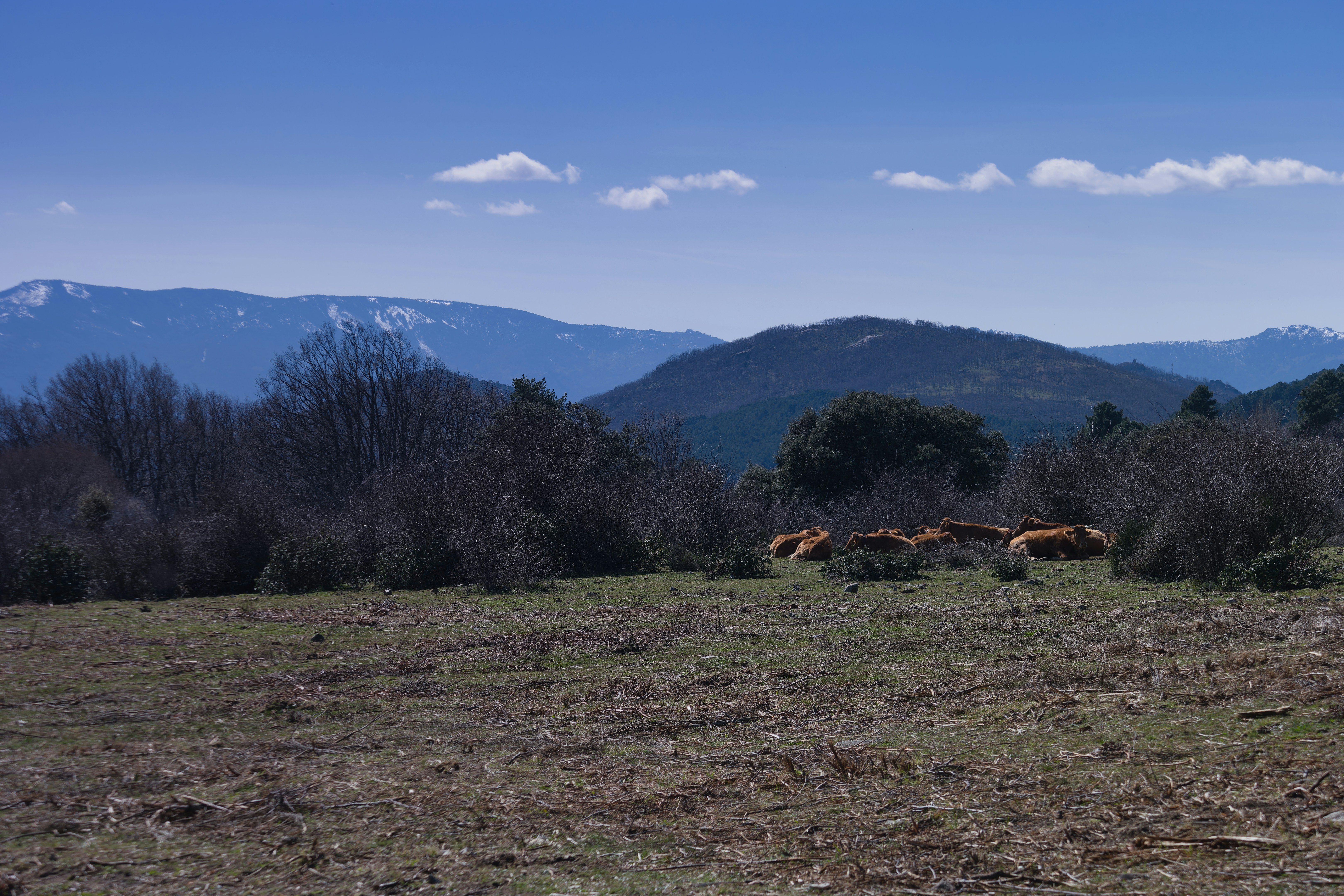 Photo by piotrsaw