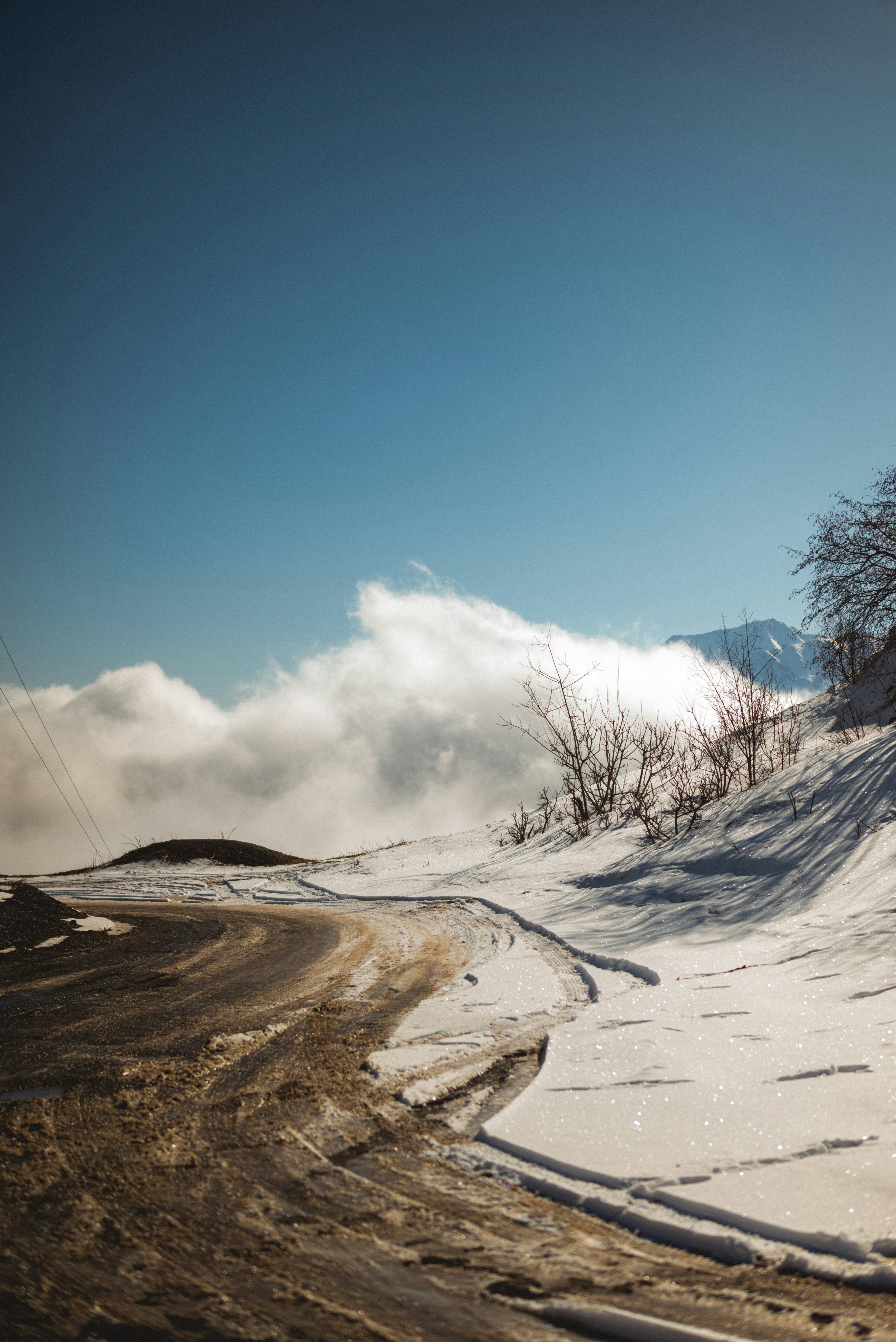 Photo by vlbychkov