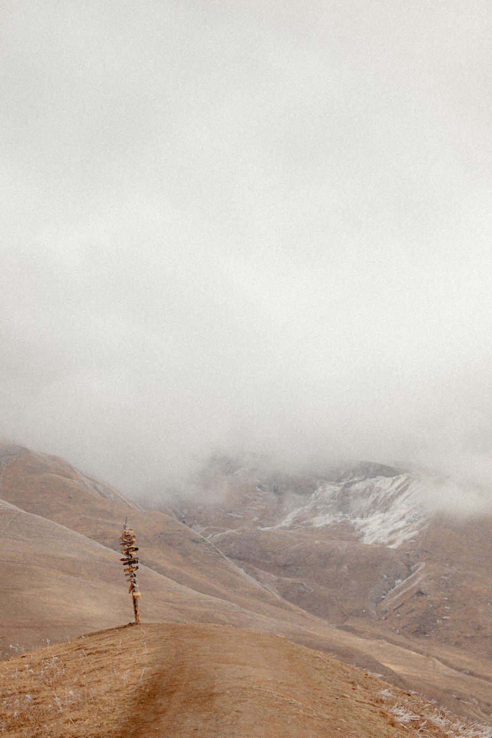 a lone tree on the side of a dirt road