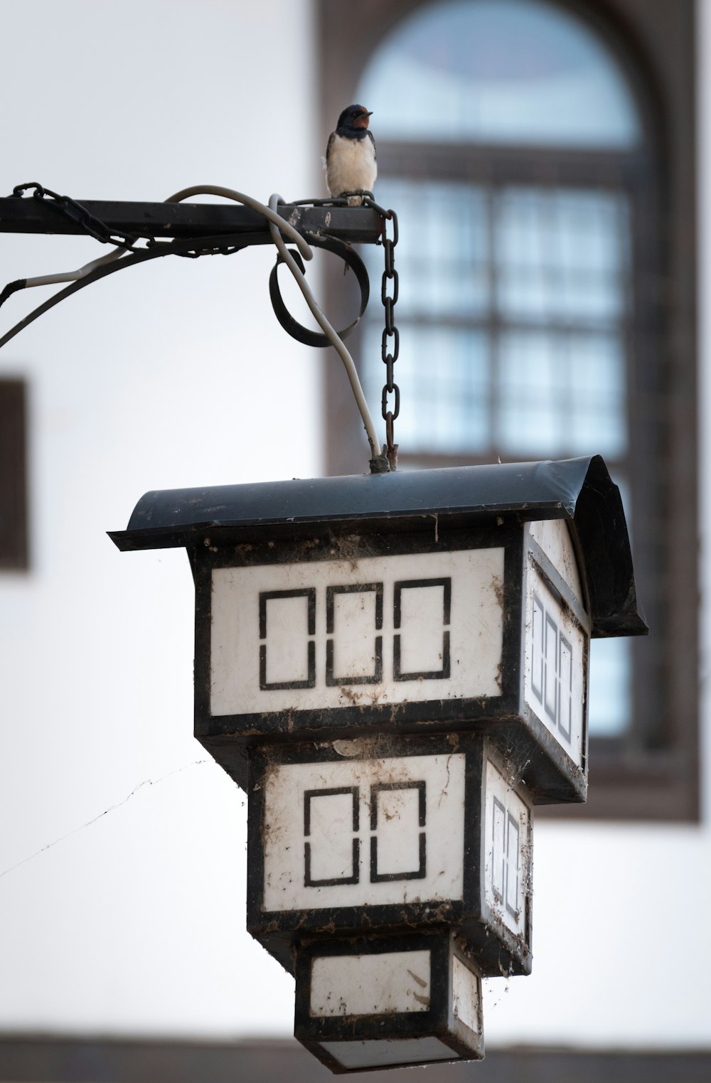 a bird perched on top of a light fixture