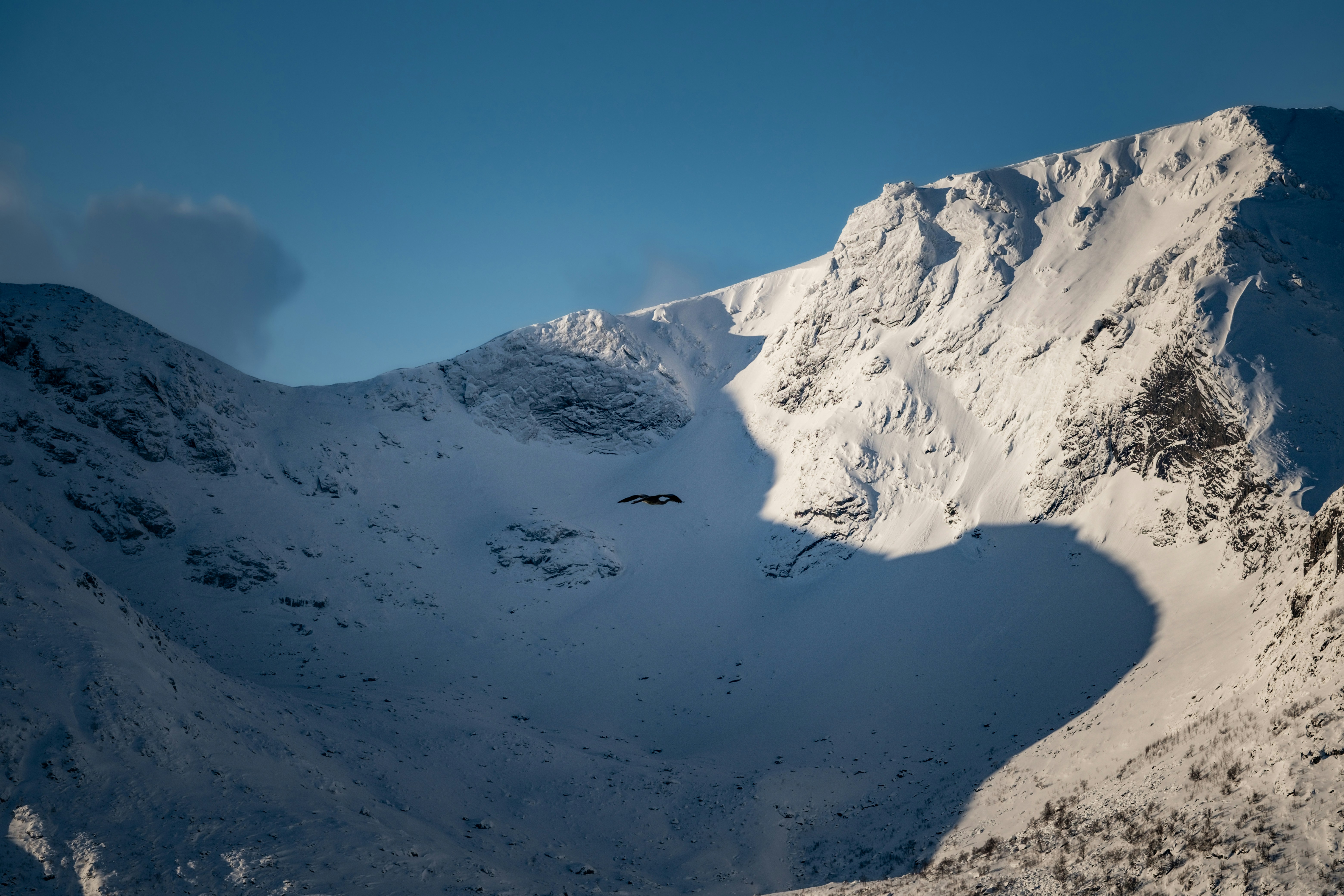 Photo by francesco_ungaro