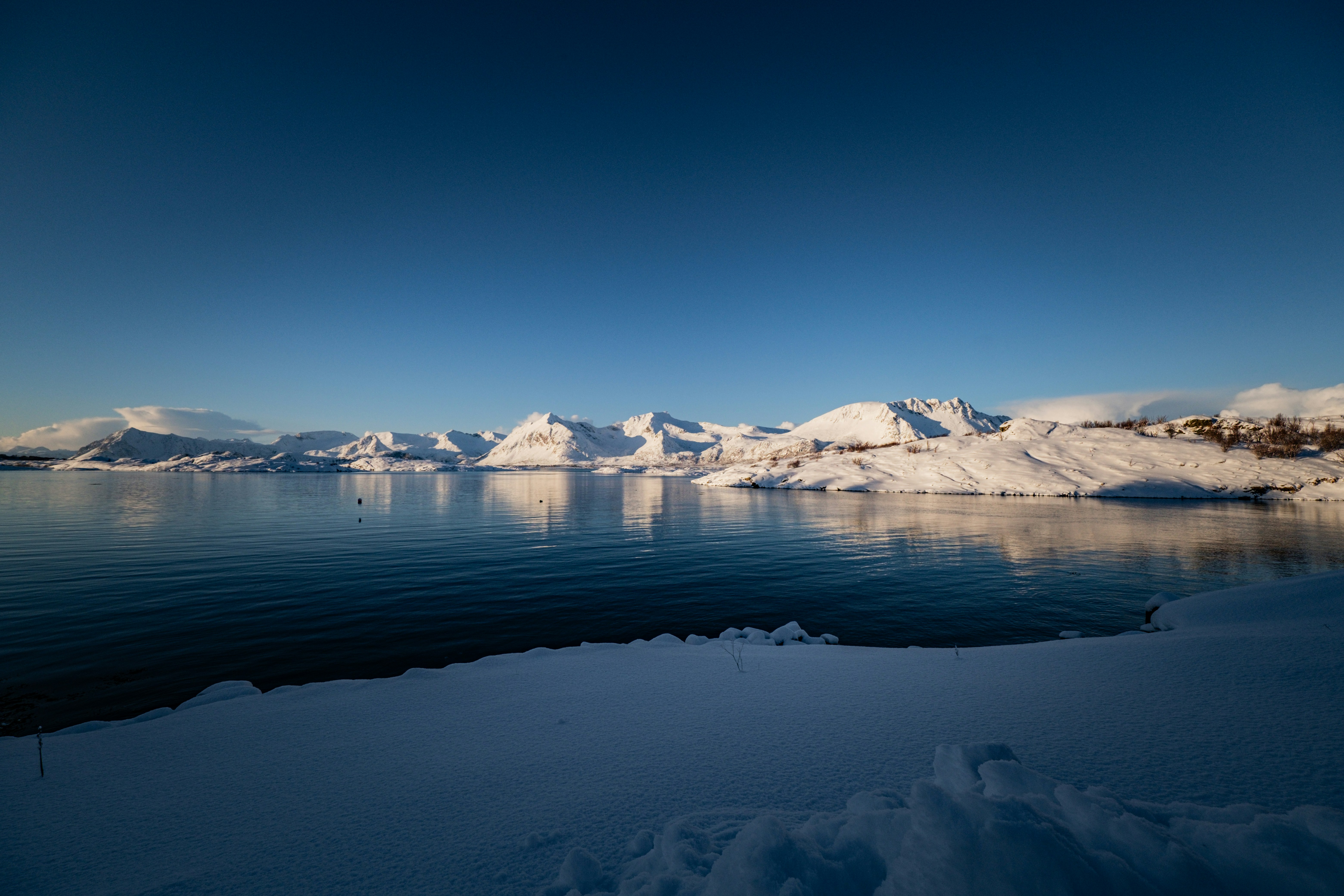 Photo by francesco_ungaro