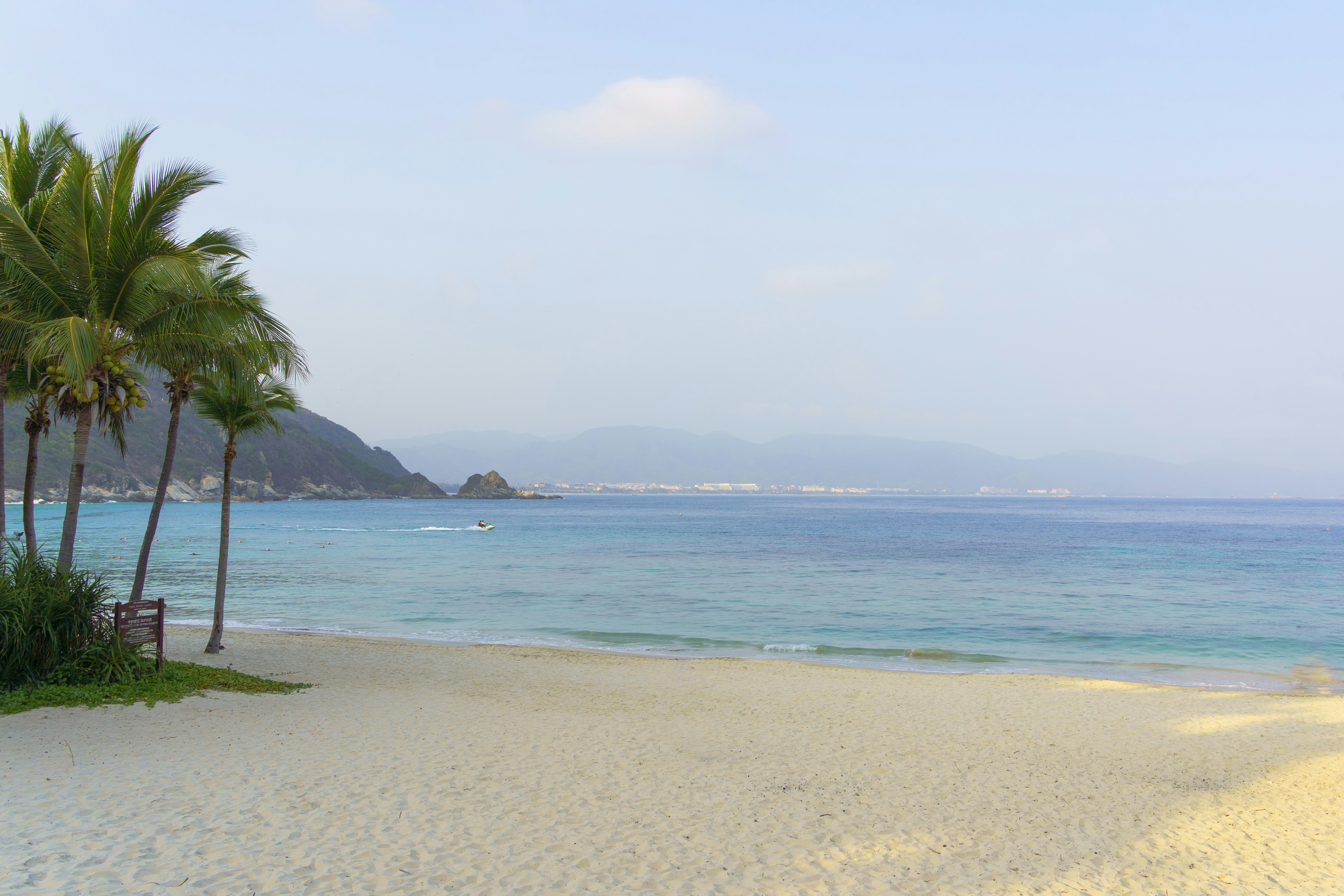 песчаный пляж с пальмами и голубой водой
