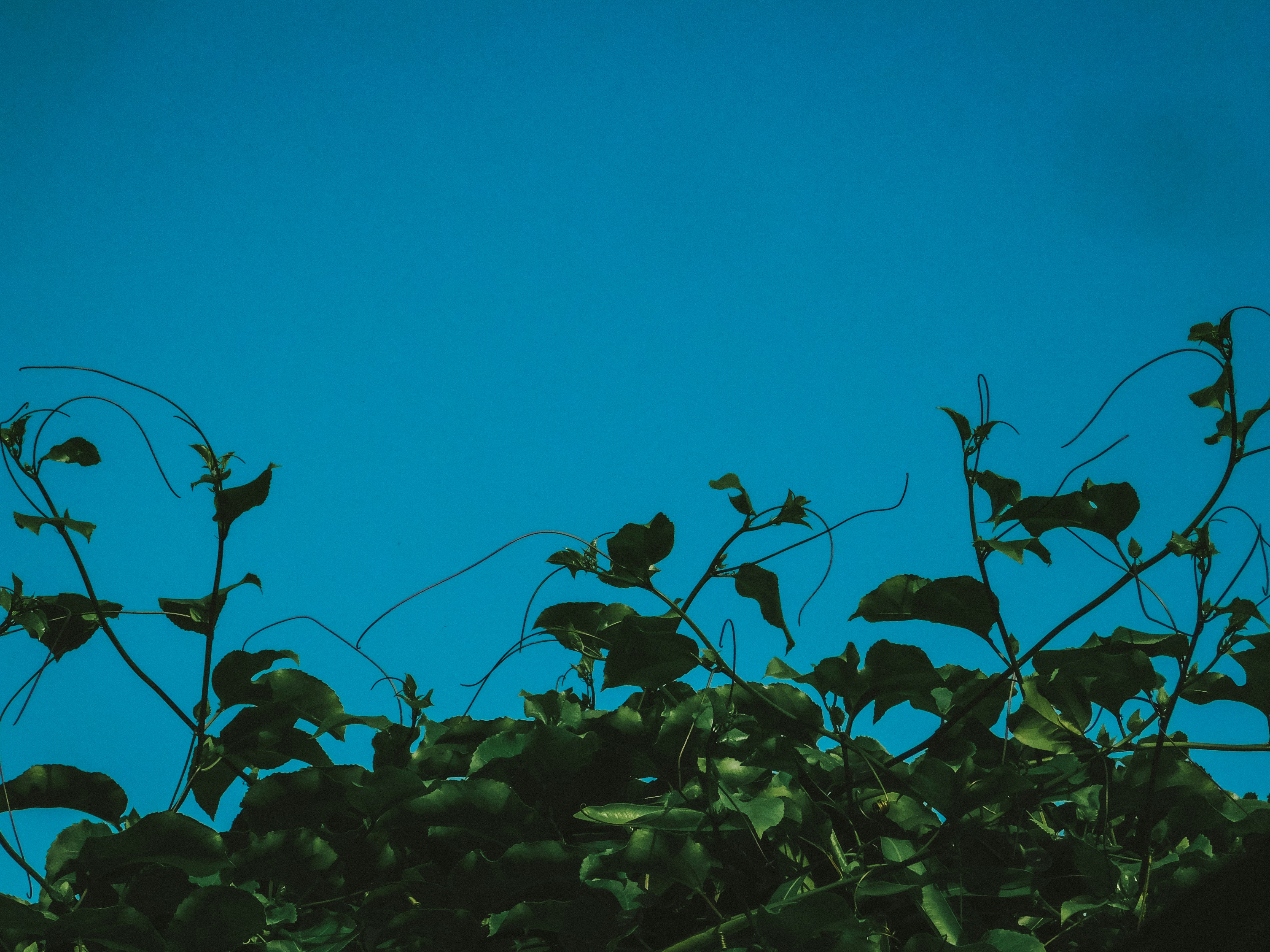 Photo by true_reflection_s