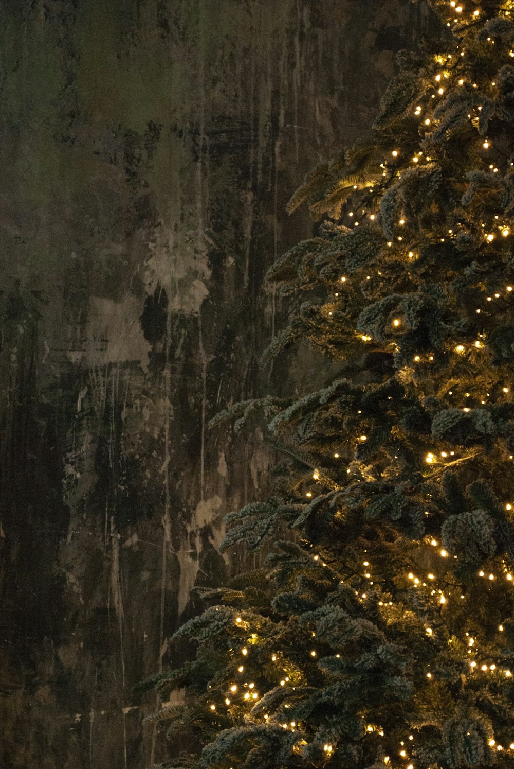 a teddy bear sitting in front of a christmas tree