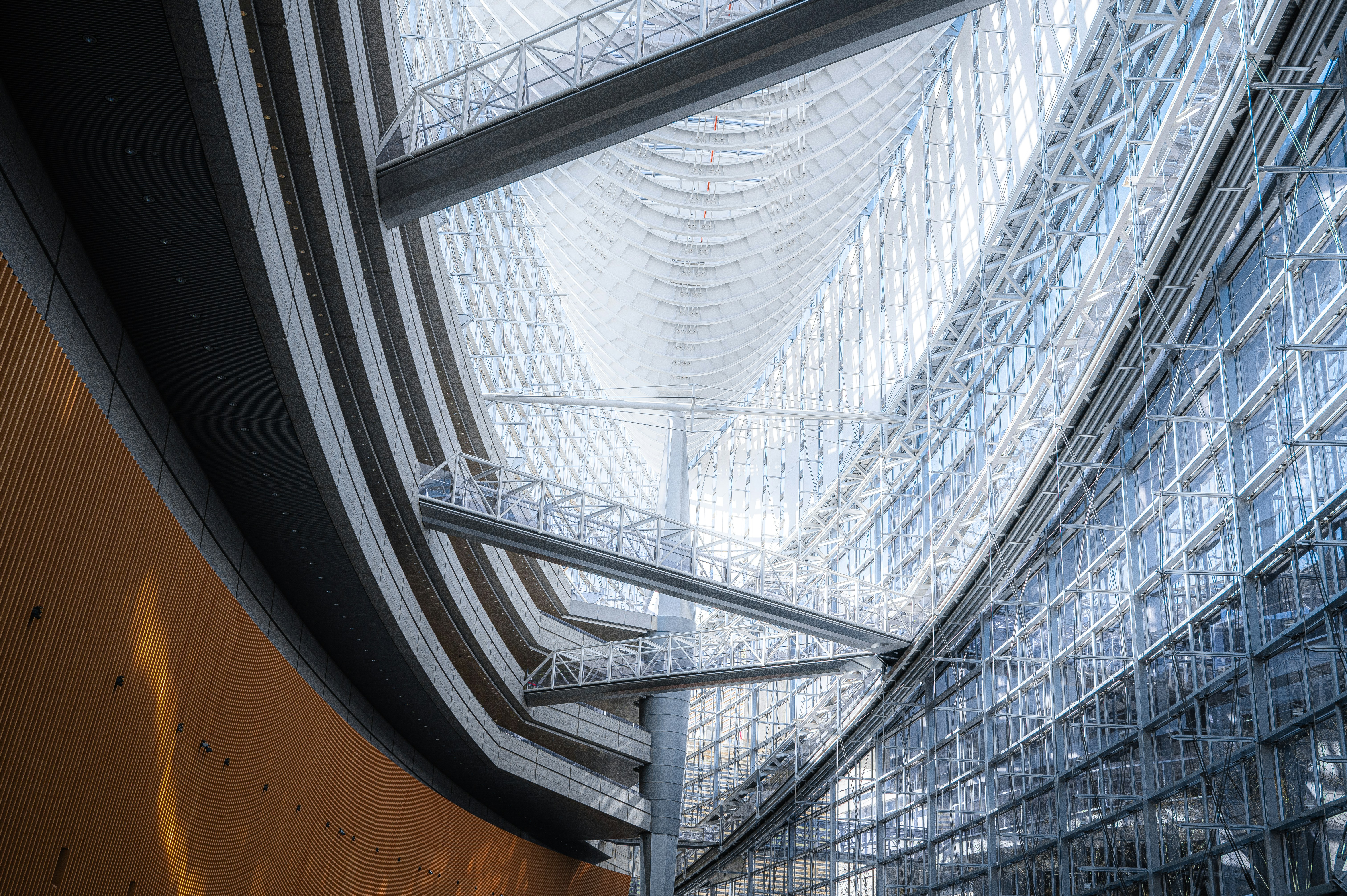 Photo by ryunosuke_kikuno