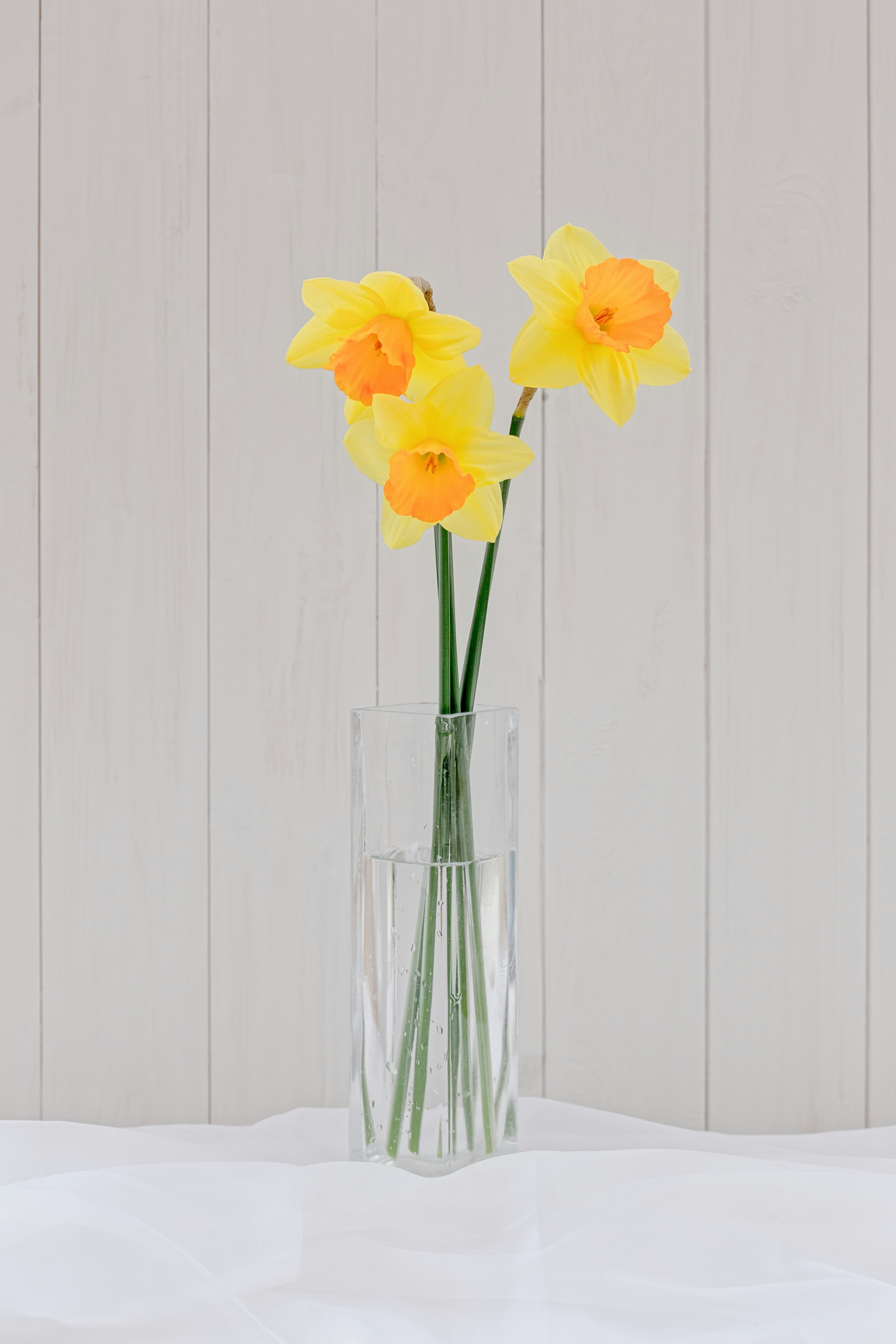 Photo by nataliekinnear