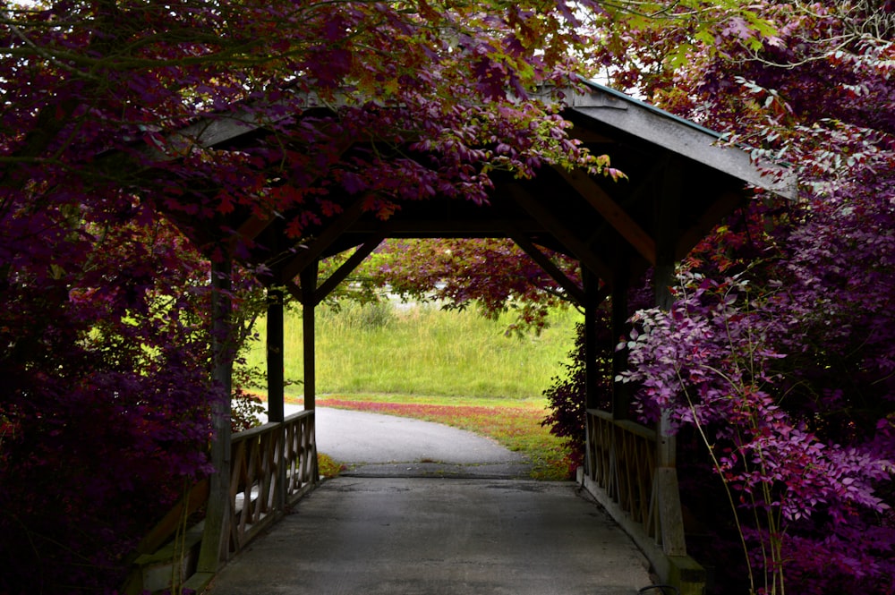 a covered walkway surrounded by purple flowers and trees