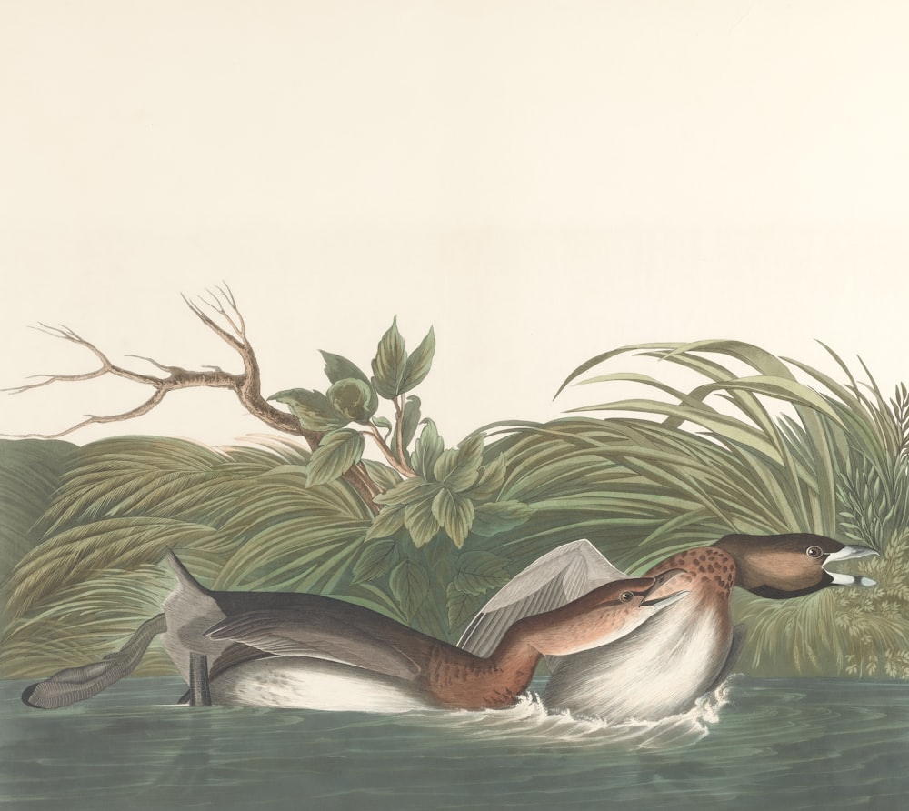 a painting of two ducks swimming in the water