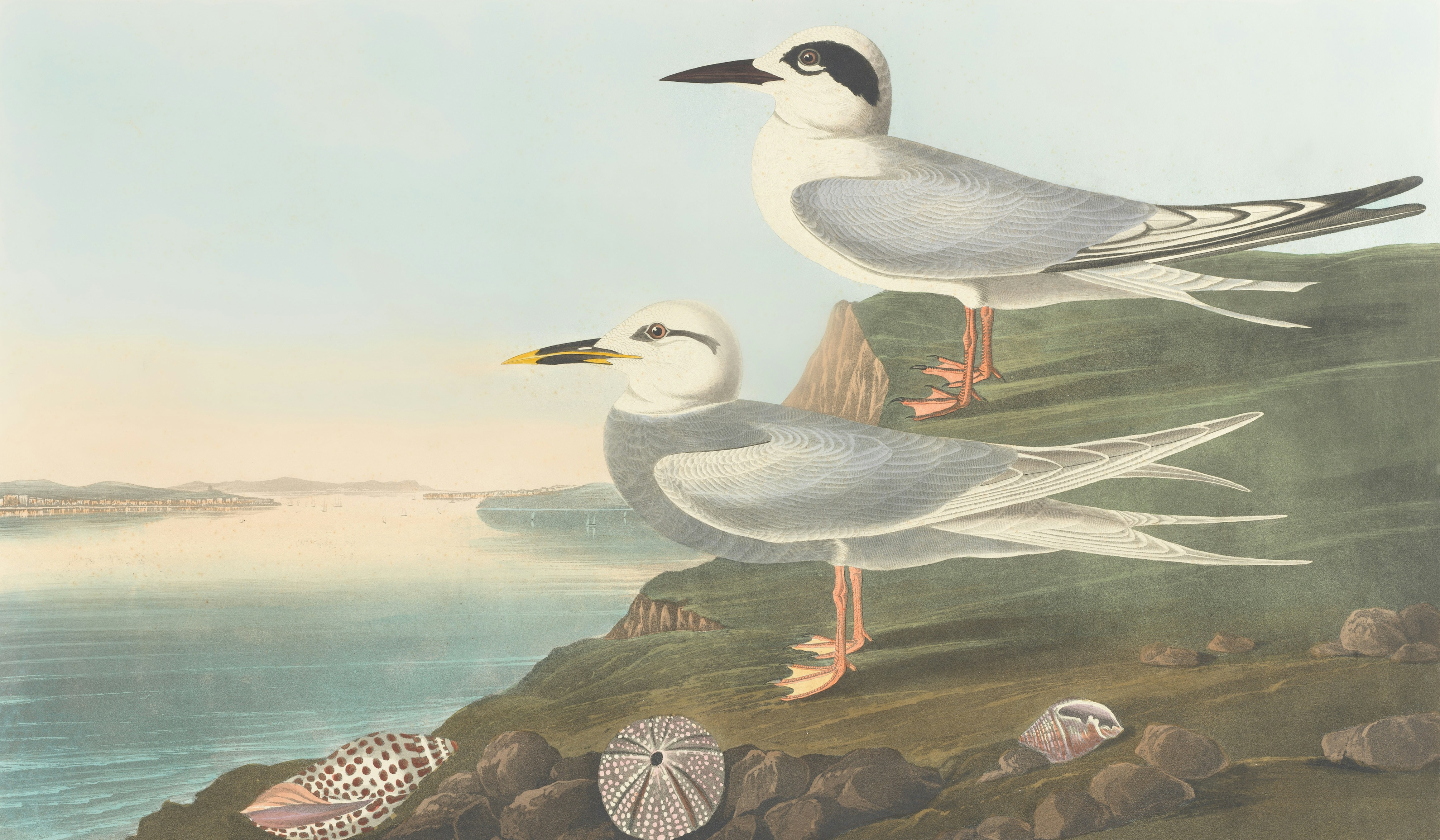 Photo by bostonpubliclibrary