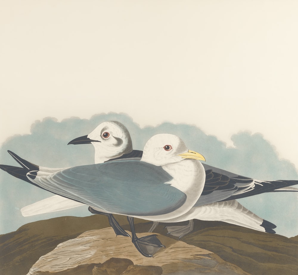 a painting of two birds sitting on a rock
