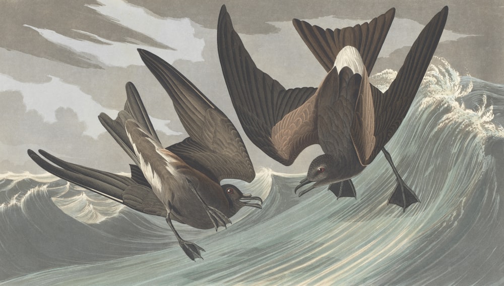 three birds flying over a wave in the ocean