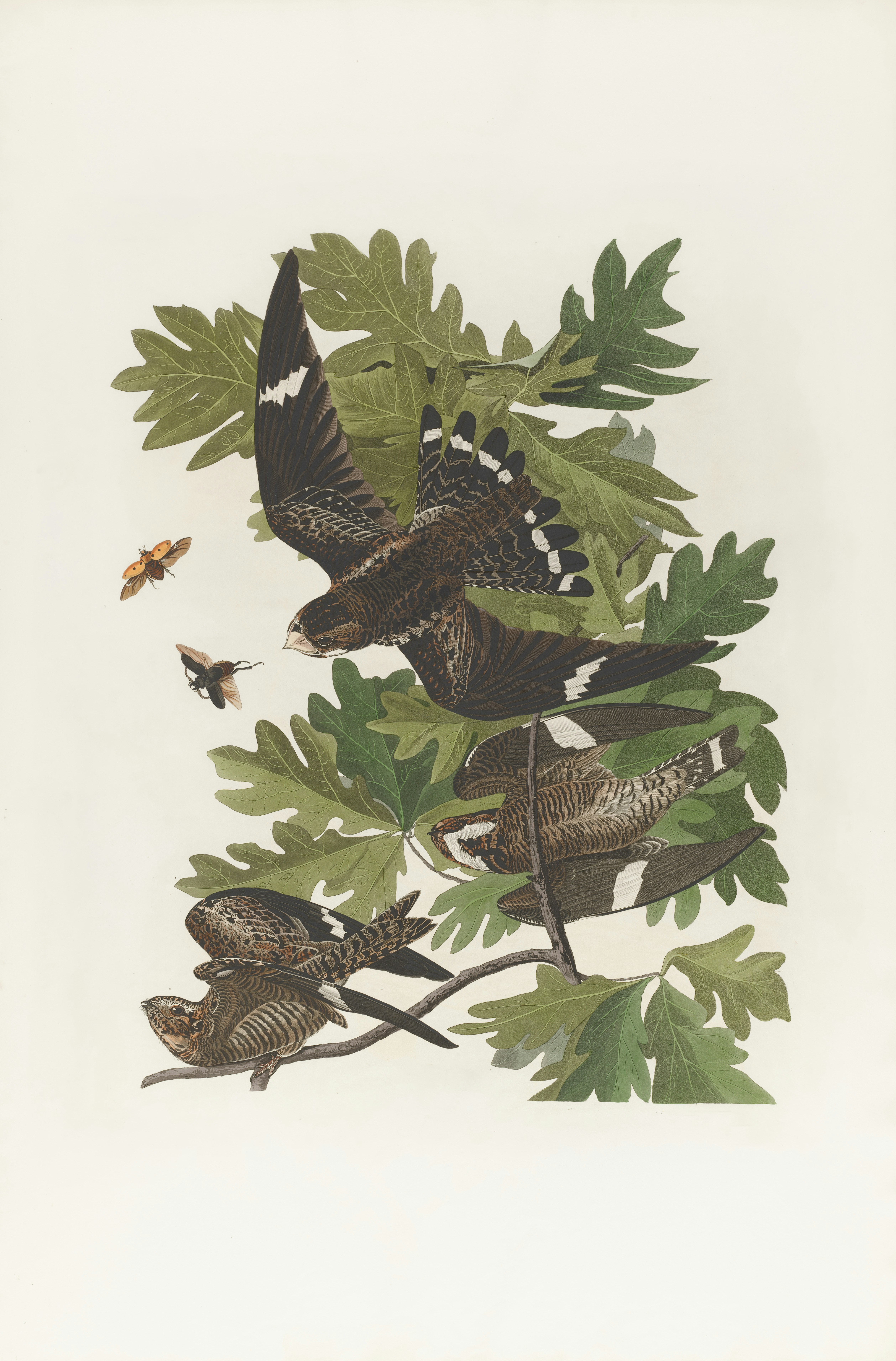 Photo by bostonpubliclibrary