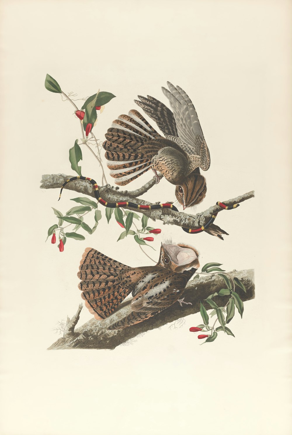 two birds are perched on a branch with berries