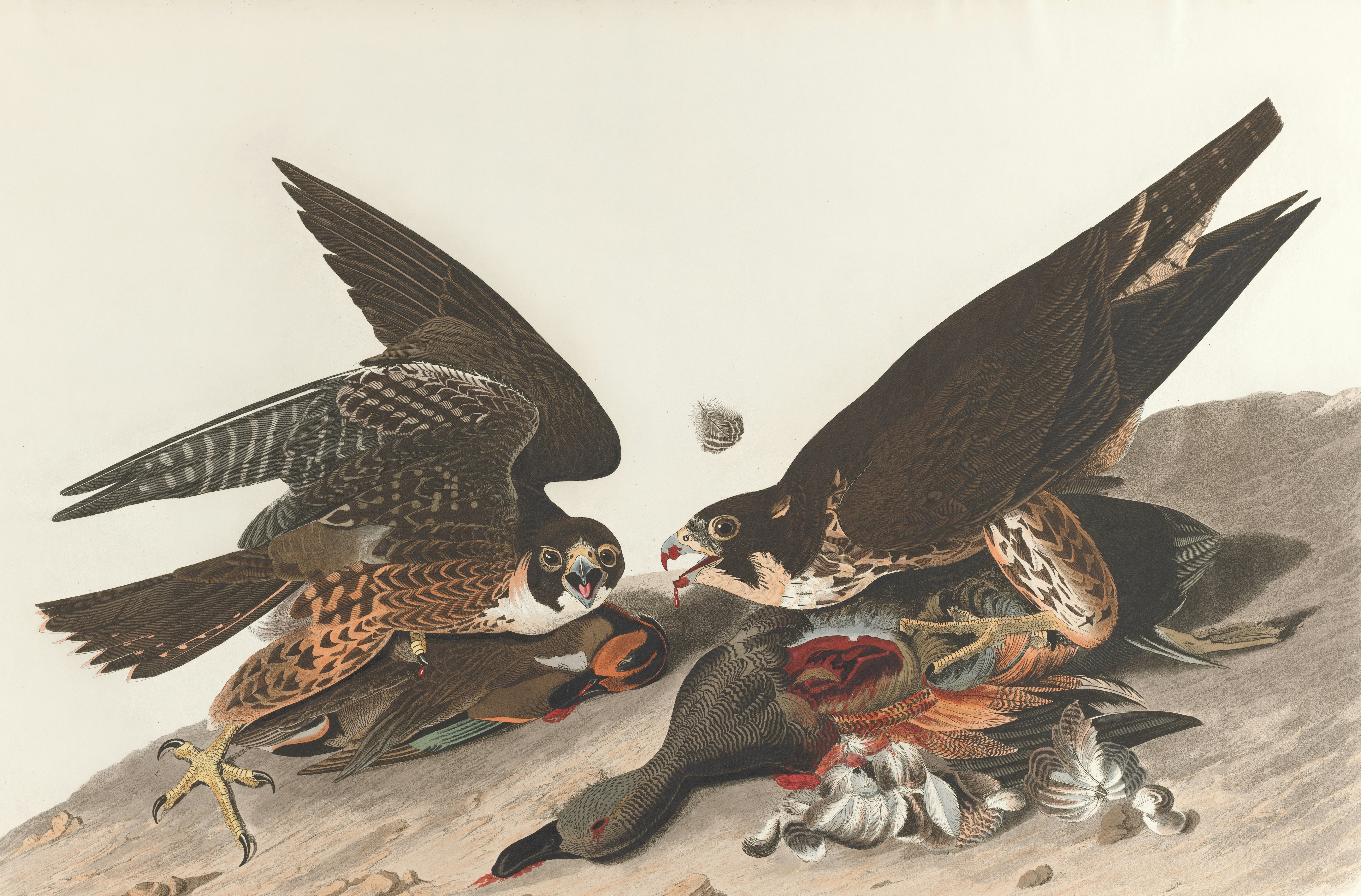 Photo by bostonpubliclibrary