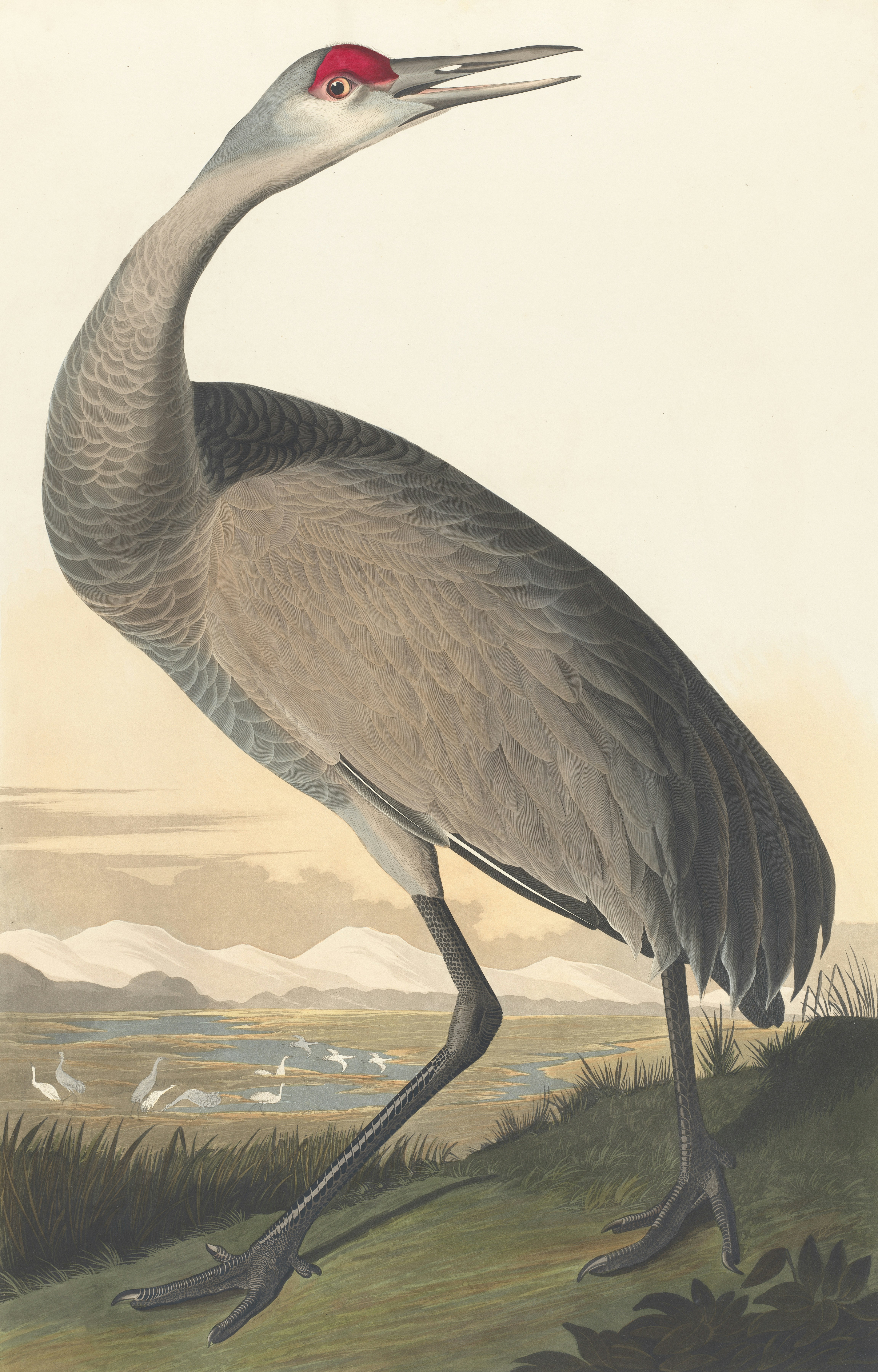 Photo by bostonpubliclibrary