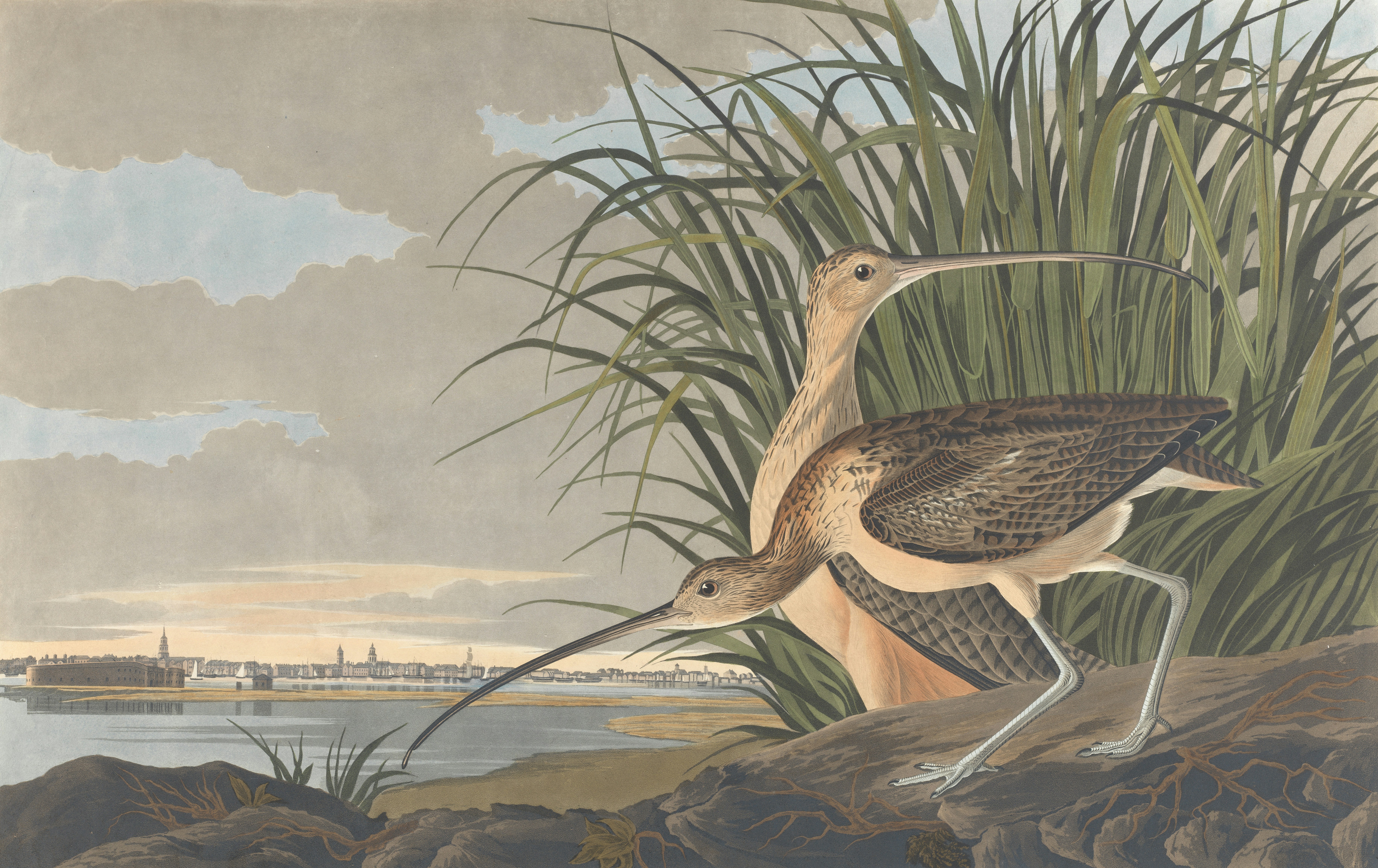 Photo by bostonpubliclibrary