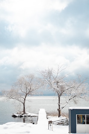 Tohoku, le Japon authentique