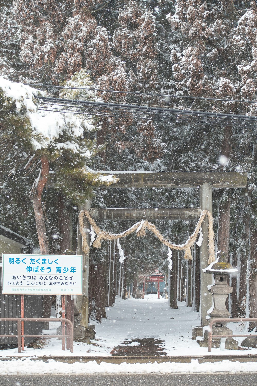 a snowy street with a sign and trees