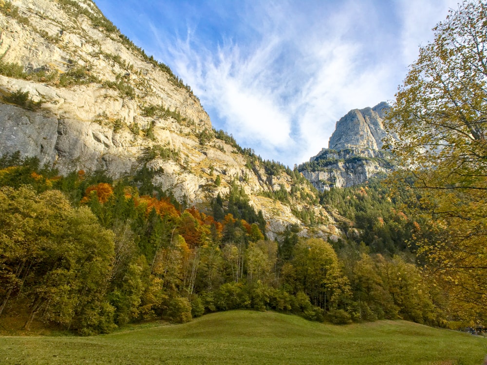 a grassy field with a mountain in the background