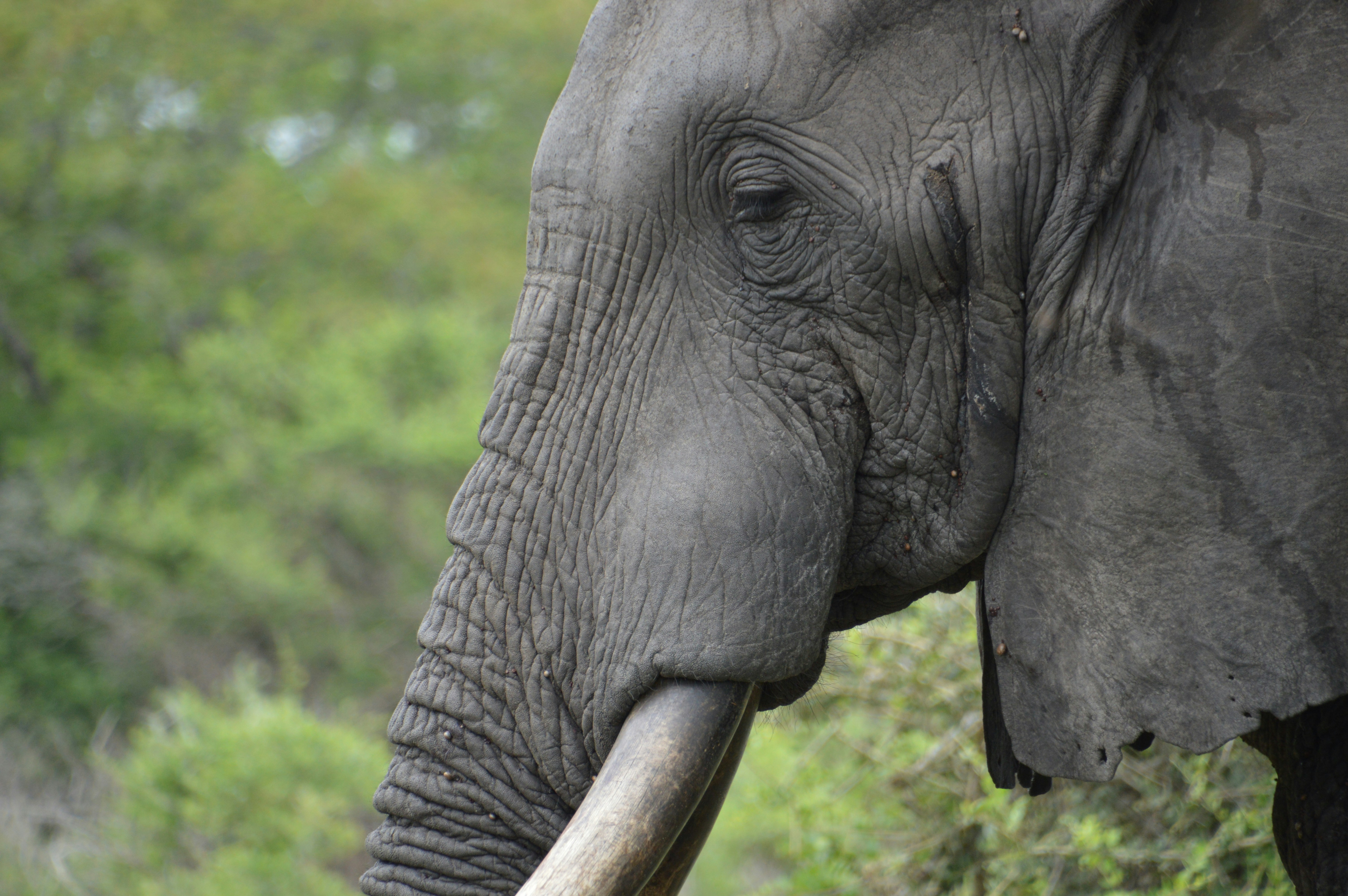 Photo by adventureanni