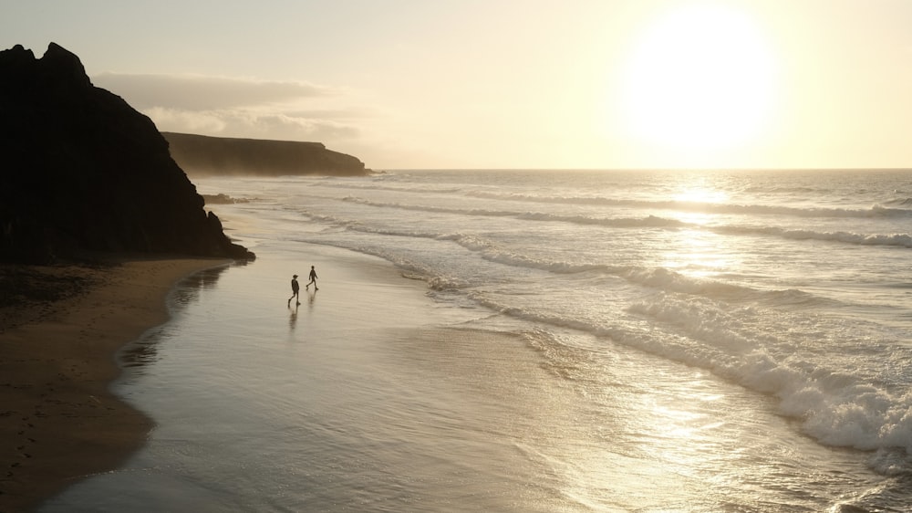 a couple of people walking along a beach next to the ocean