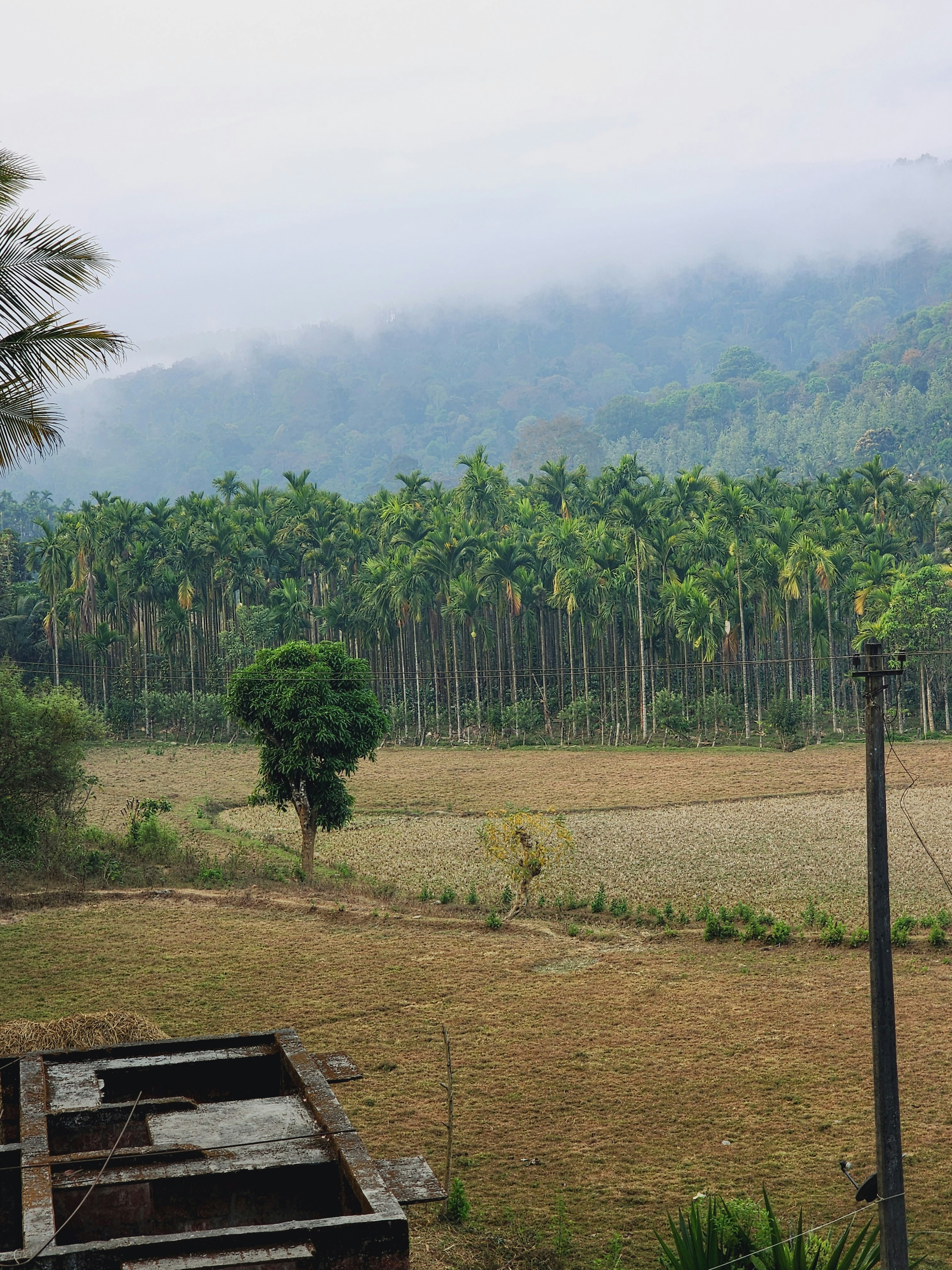 Photo by shreekumar5584