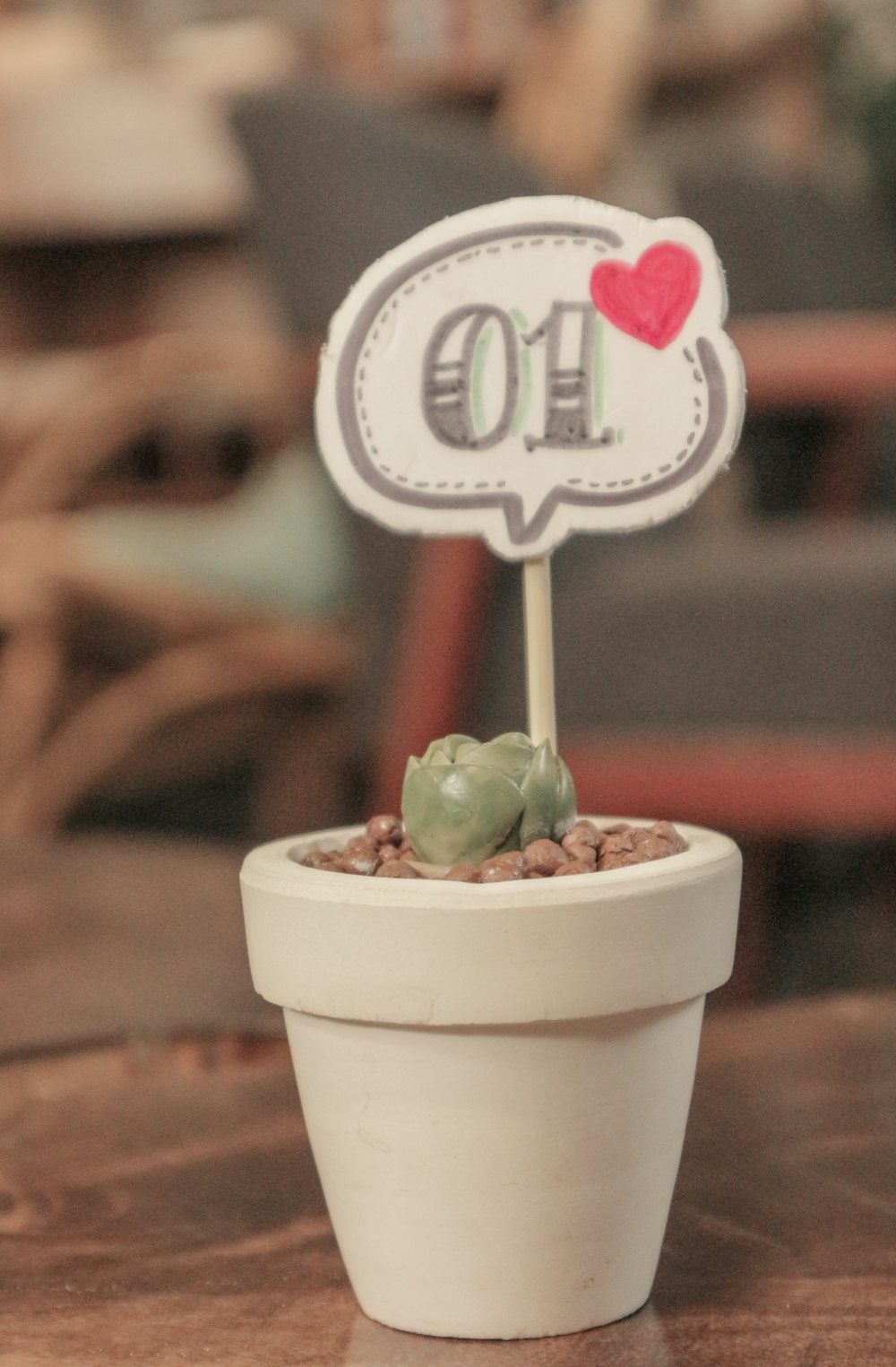 a small potted plant sitting on top of a wooden table