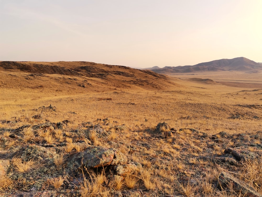 a barren plain with sparse grass and mountains in the background