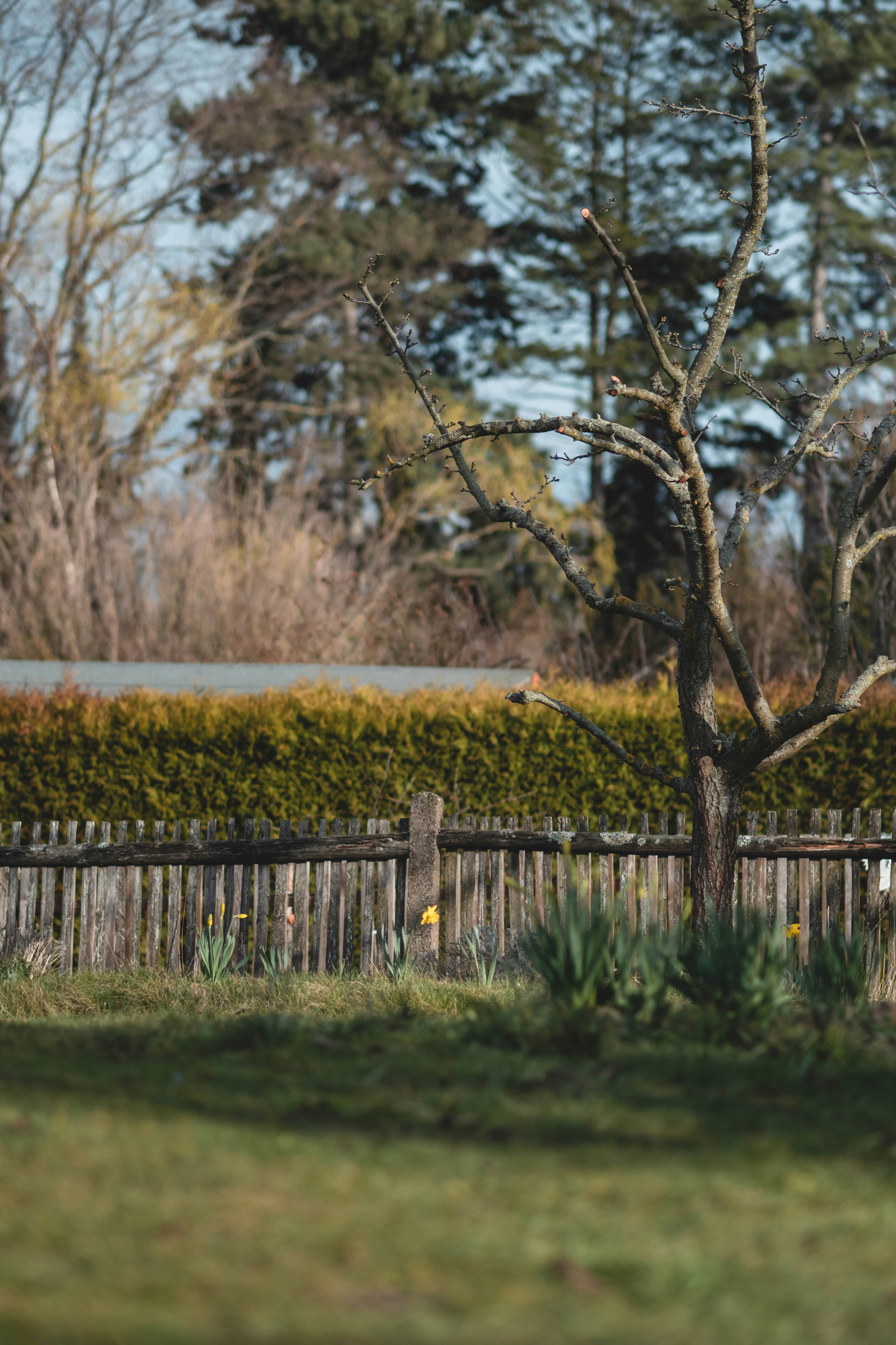 Photo by eileen_kummer