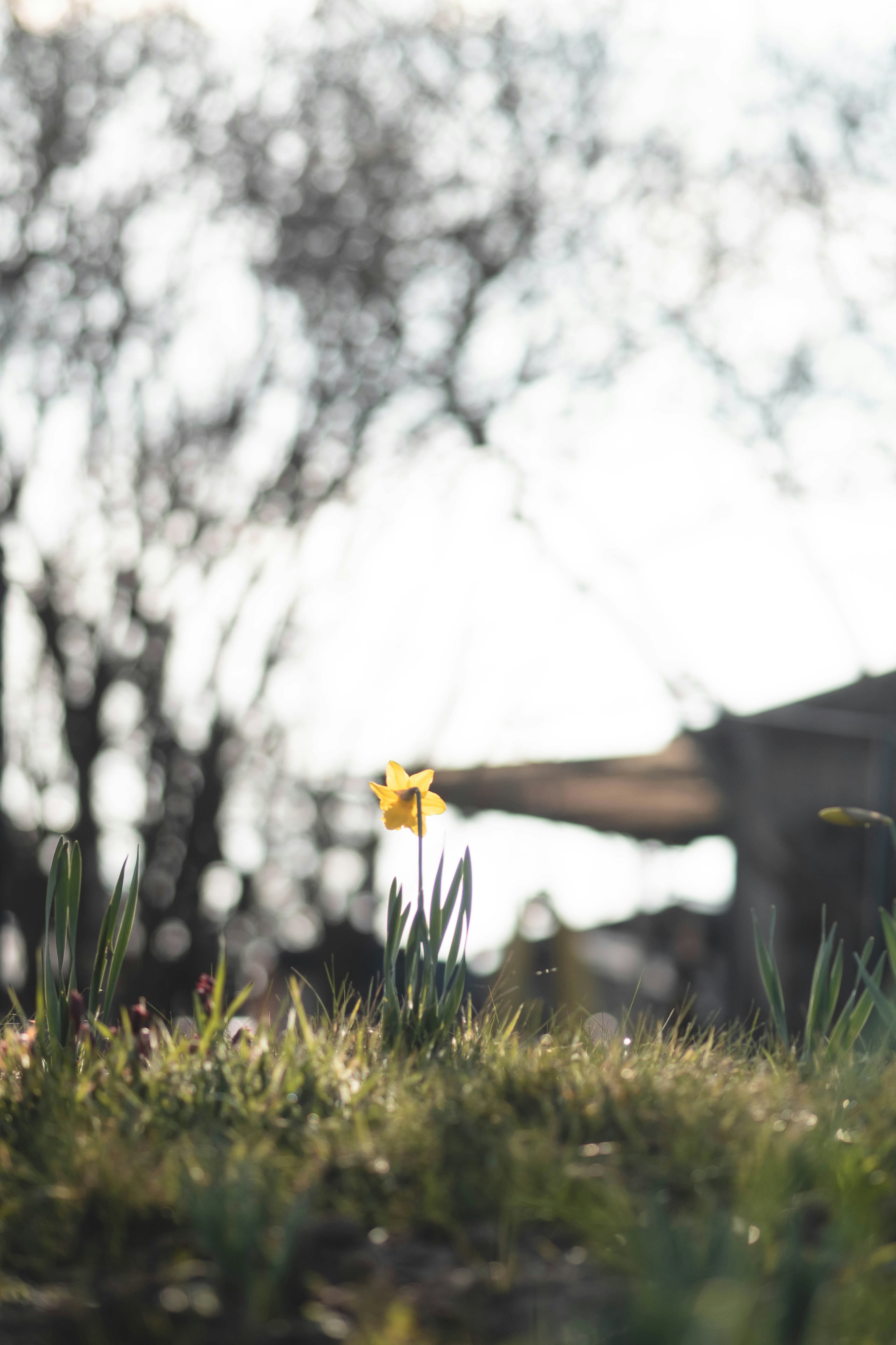 Photo by eileen_kummer