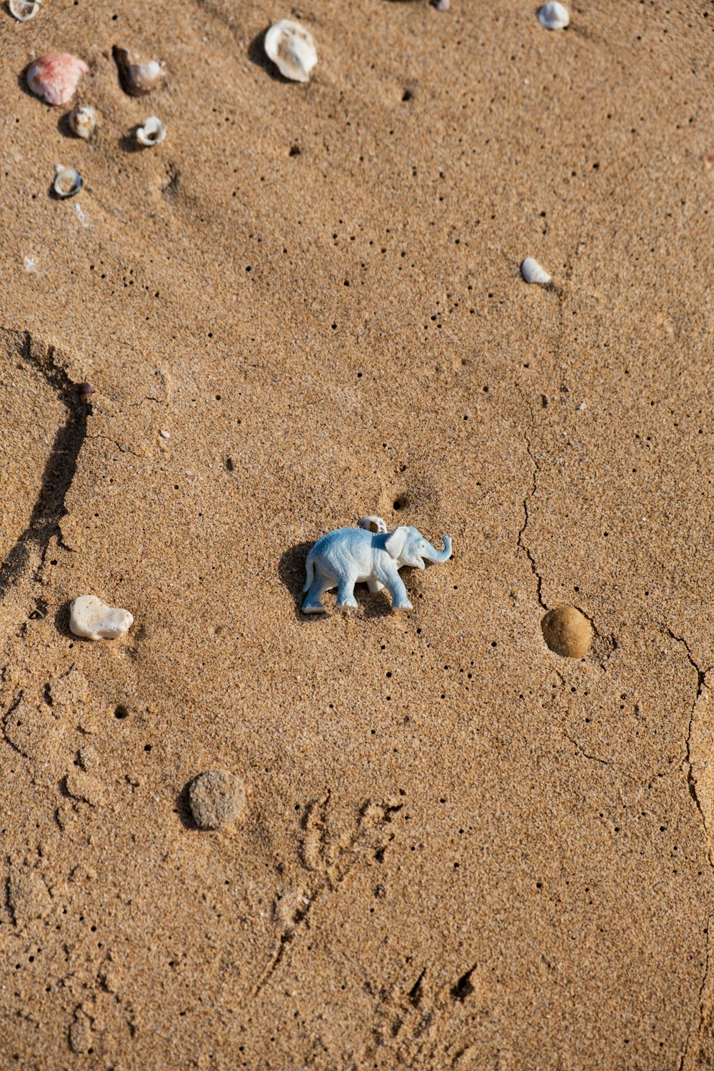 a small toy elephant on a sandy beach