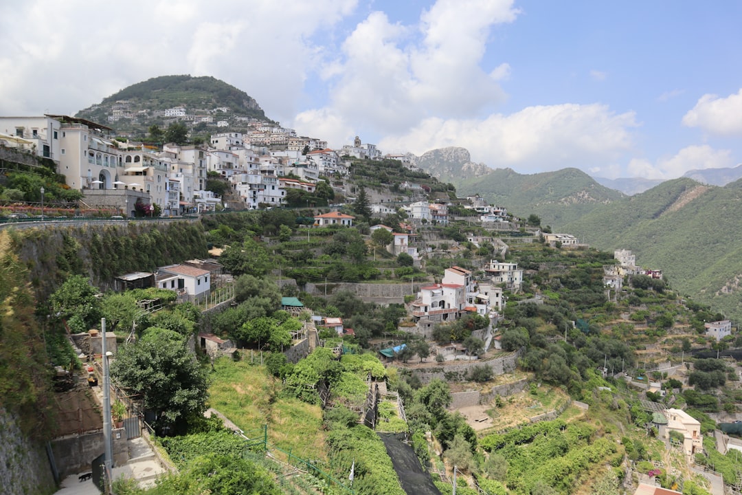 a view of a village on a hillside, 