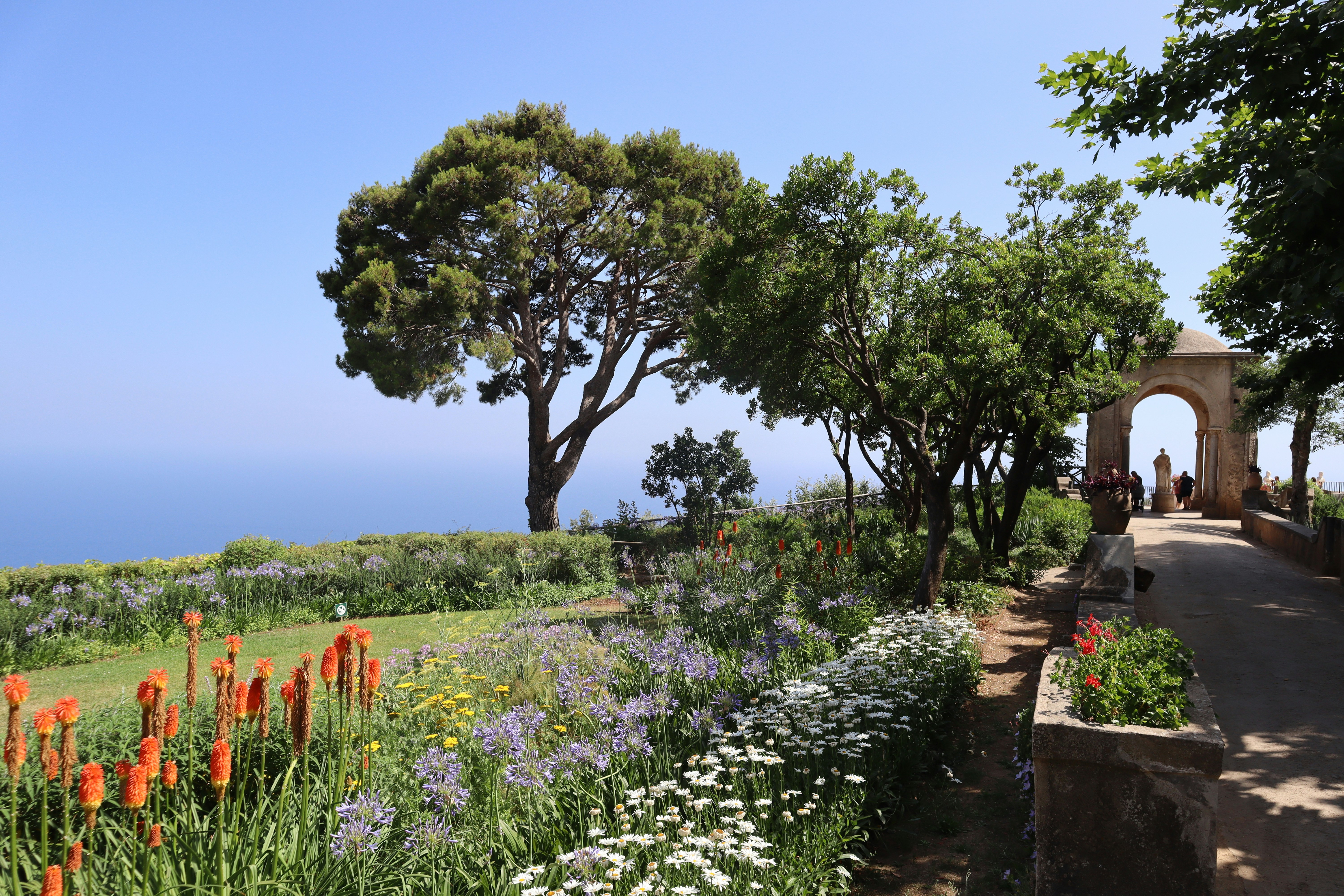 a garden with lots of flowers and trees - Amalfi