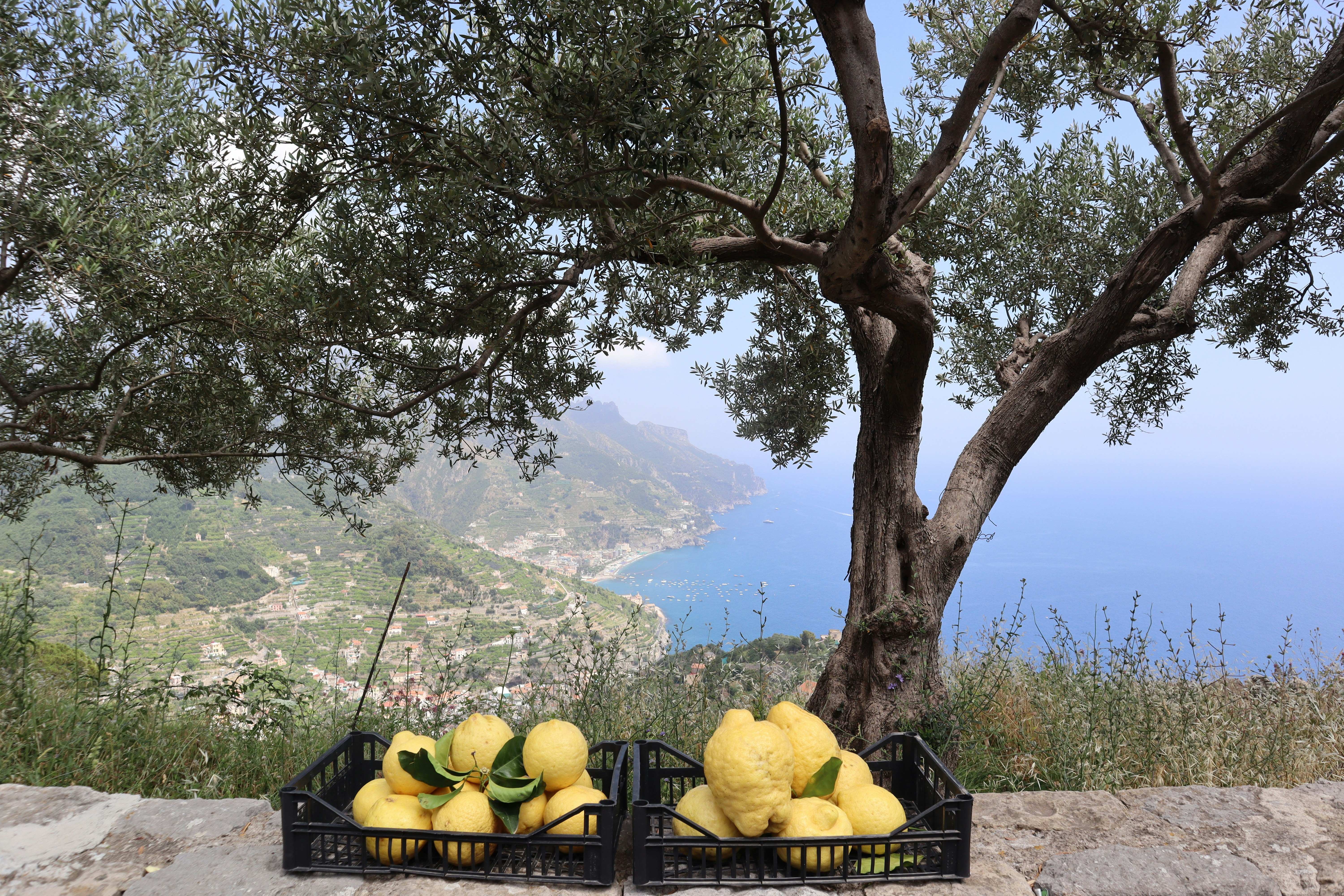 a couple of baskets of lemons sitting on a stone wall, 