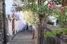 a narrow street with a stone wall and a tree with pink flowers