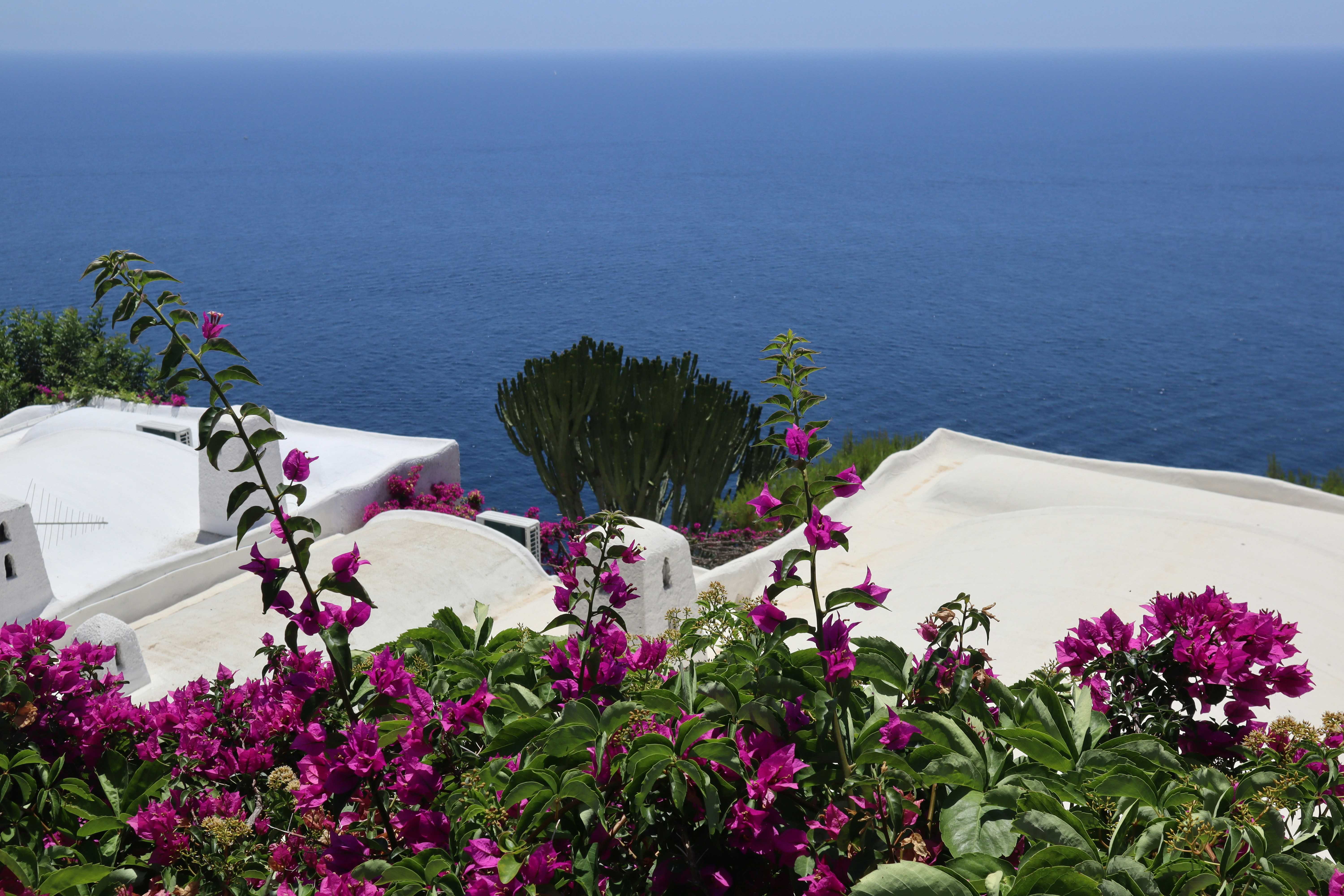 Photo by mihaela_claudia_p