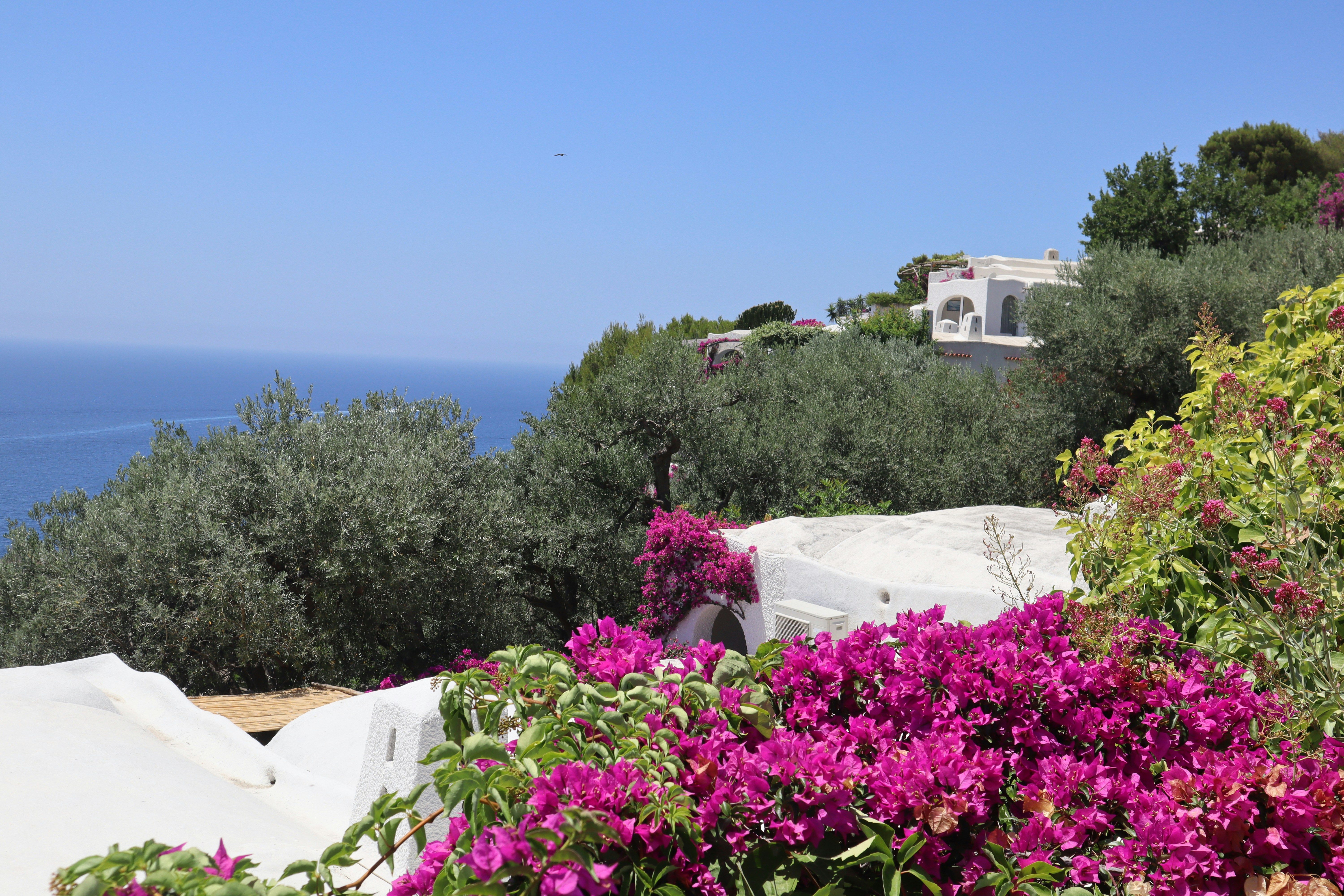 Photo by mihaela_claudia_p