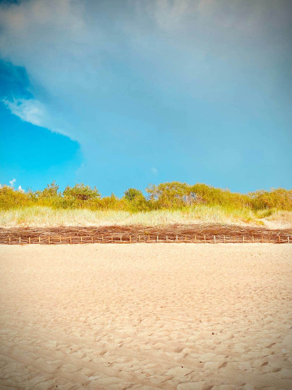 un banco sentado en la parte superior de una playa de arena