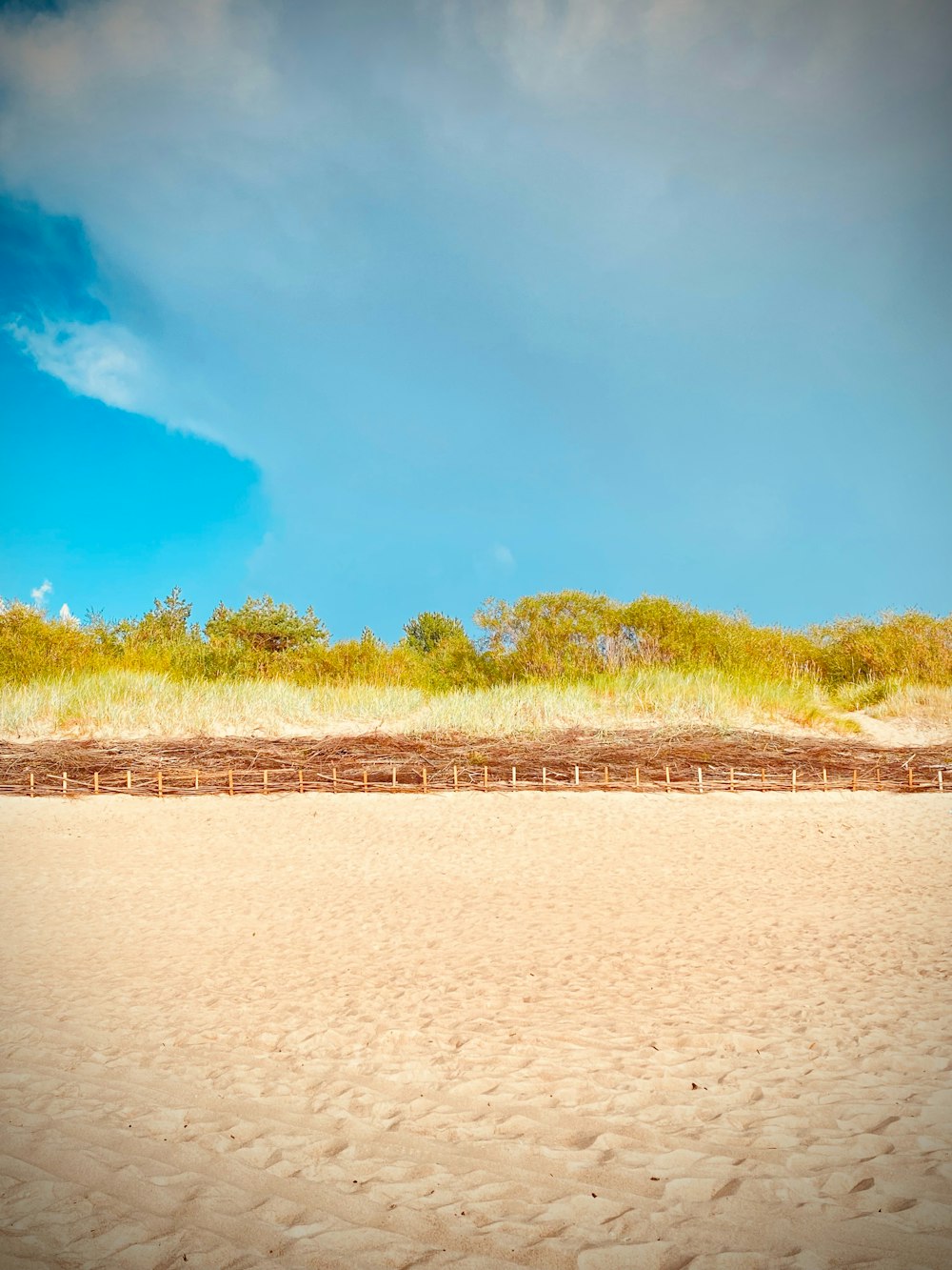 a bench sitting on top of a sandy beach