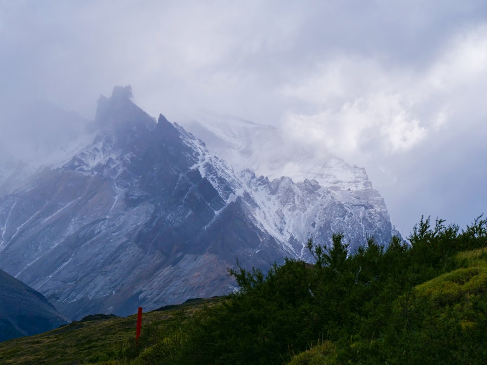 Un hombre de pie en la cima de una exuberante ladera verde