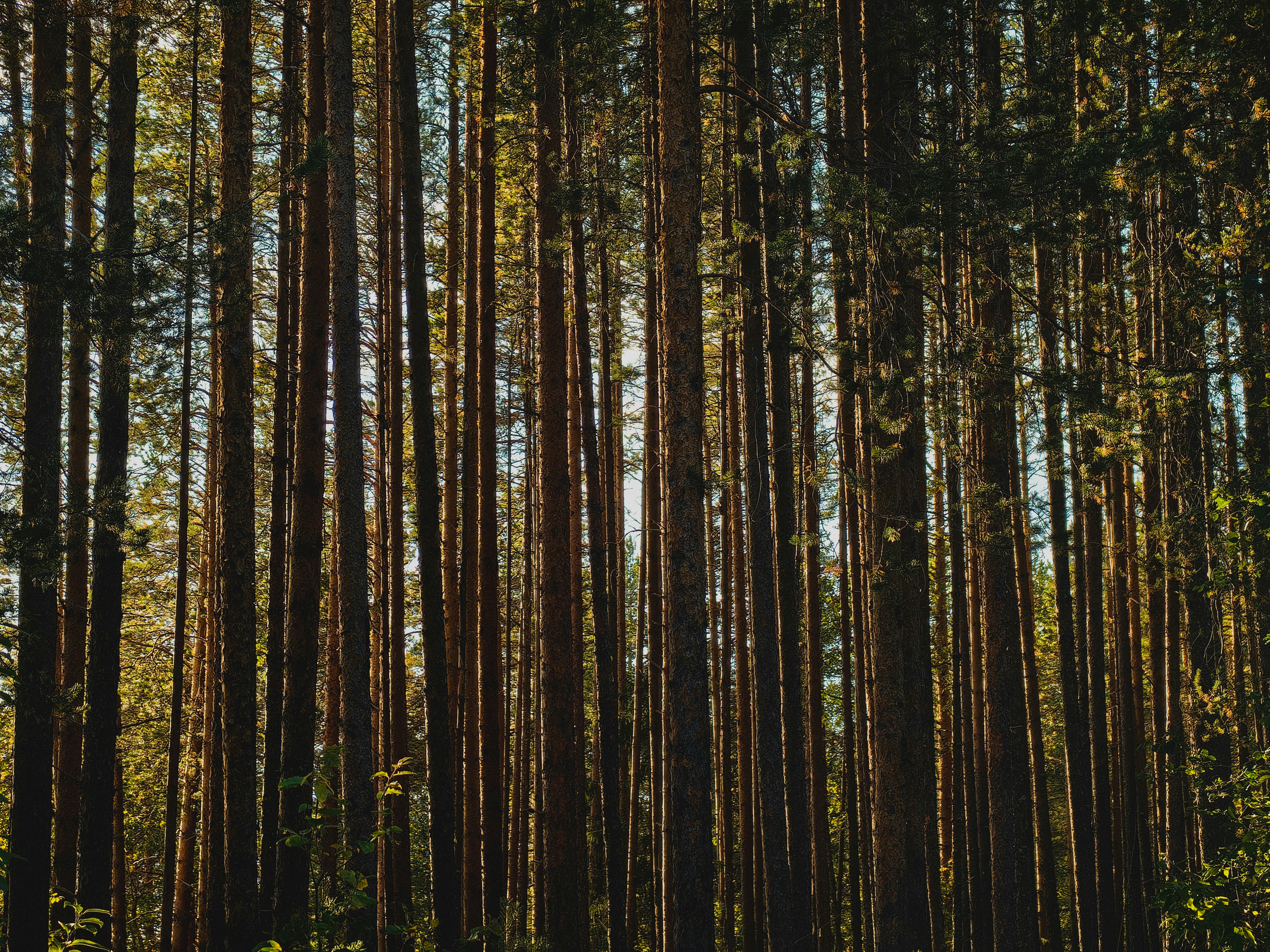 Photo by technosamura1